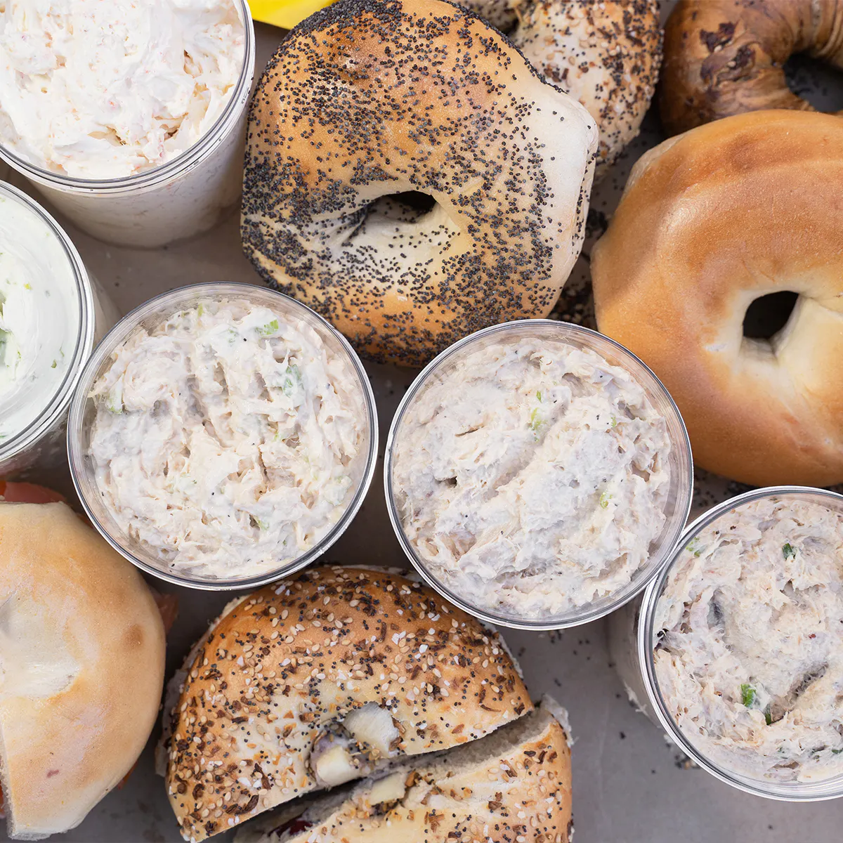 Westchester Bagel Brunch for 6 + 6 FREE Bagels by Bagel Emporium