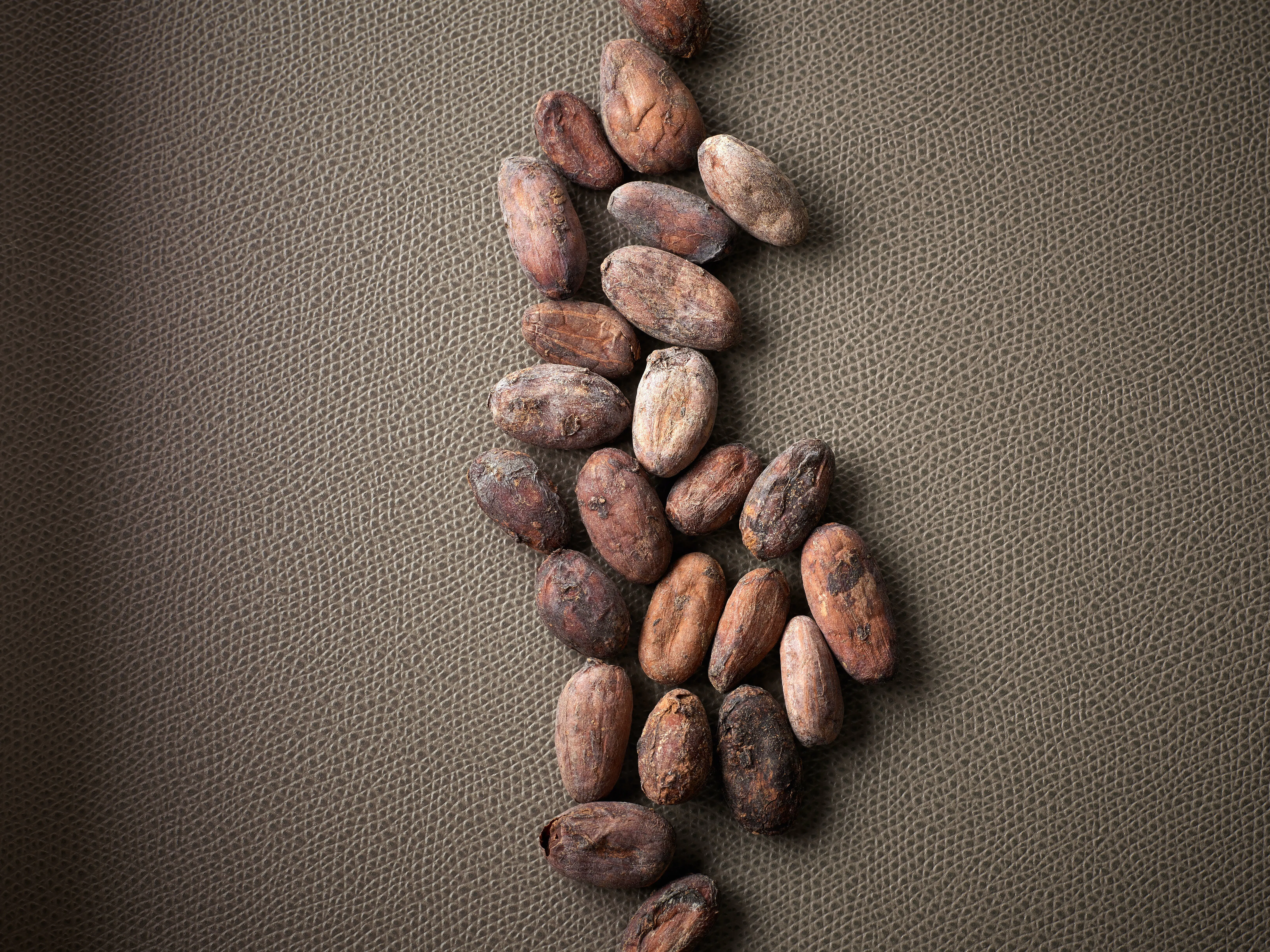 Luxury Chocolate Collection – Choose Your Own 2 Pack by Chocolate by Thomas Keller + Armando Manni - Alternate image 7