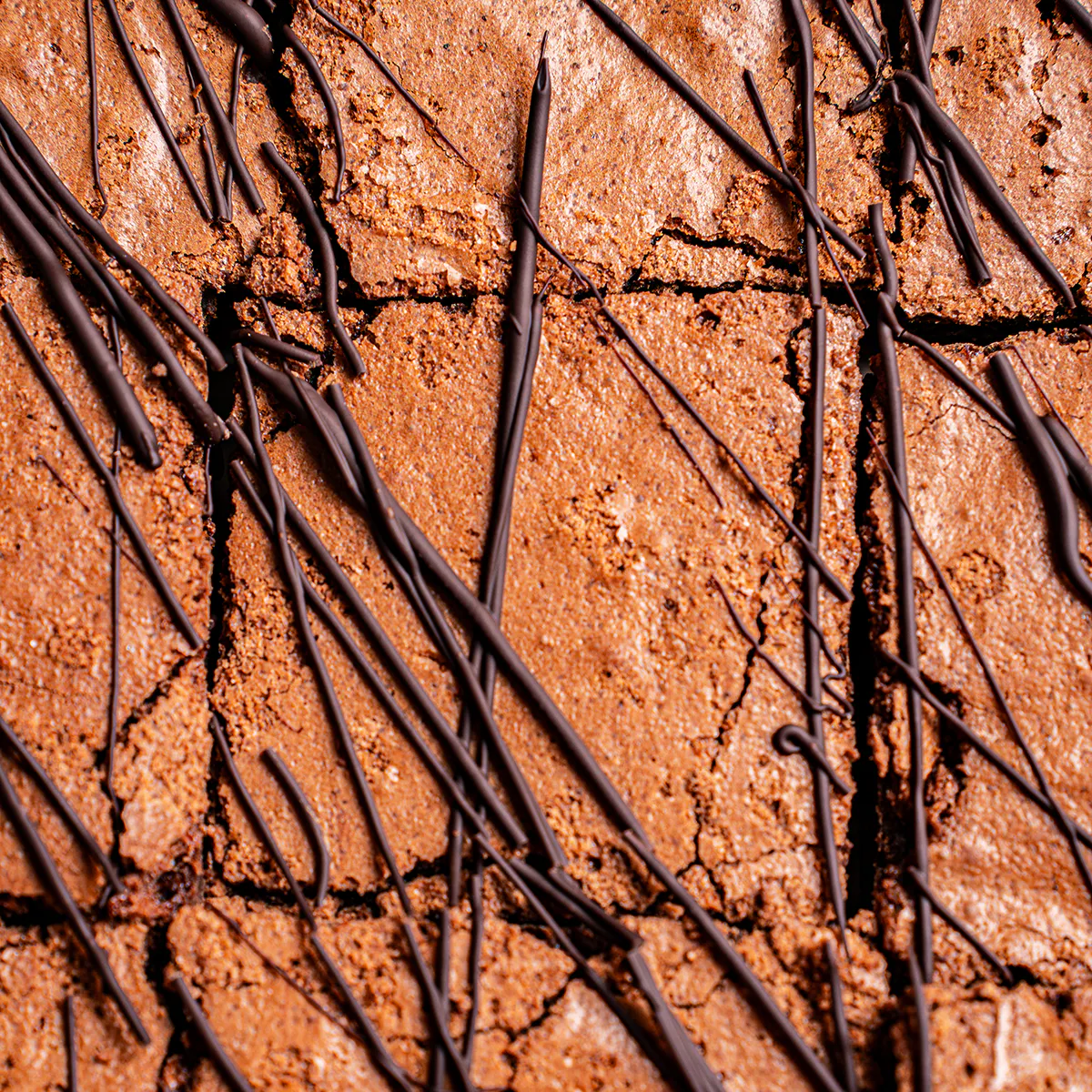 Mexican Brownie Sampler - 12 Pack by La Newyorkina - Alternate image 4