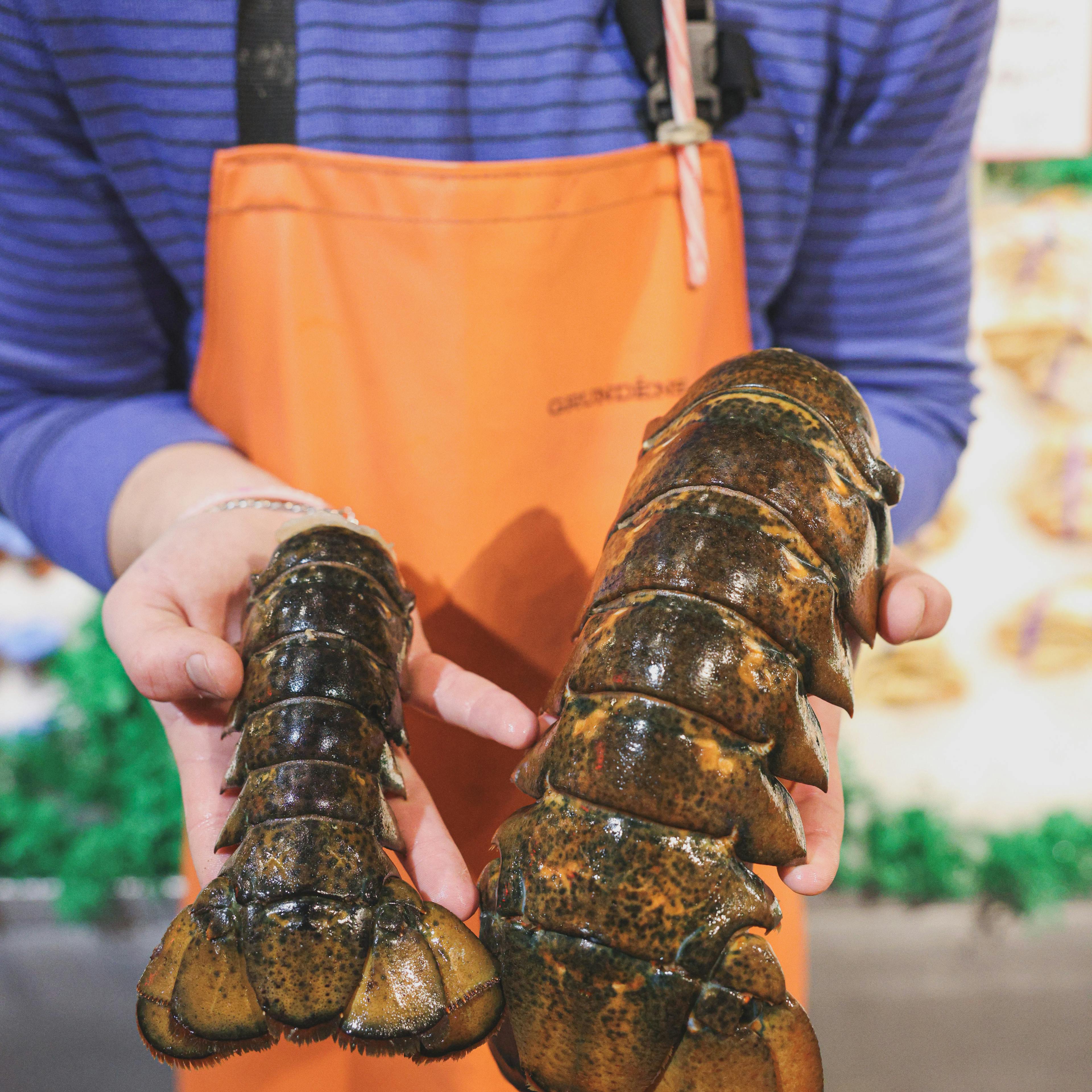 Lobster Tails - North Atlantic, Wild by Pike Place Fish Market - Alternate image 1