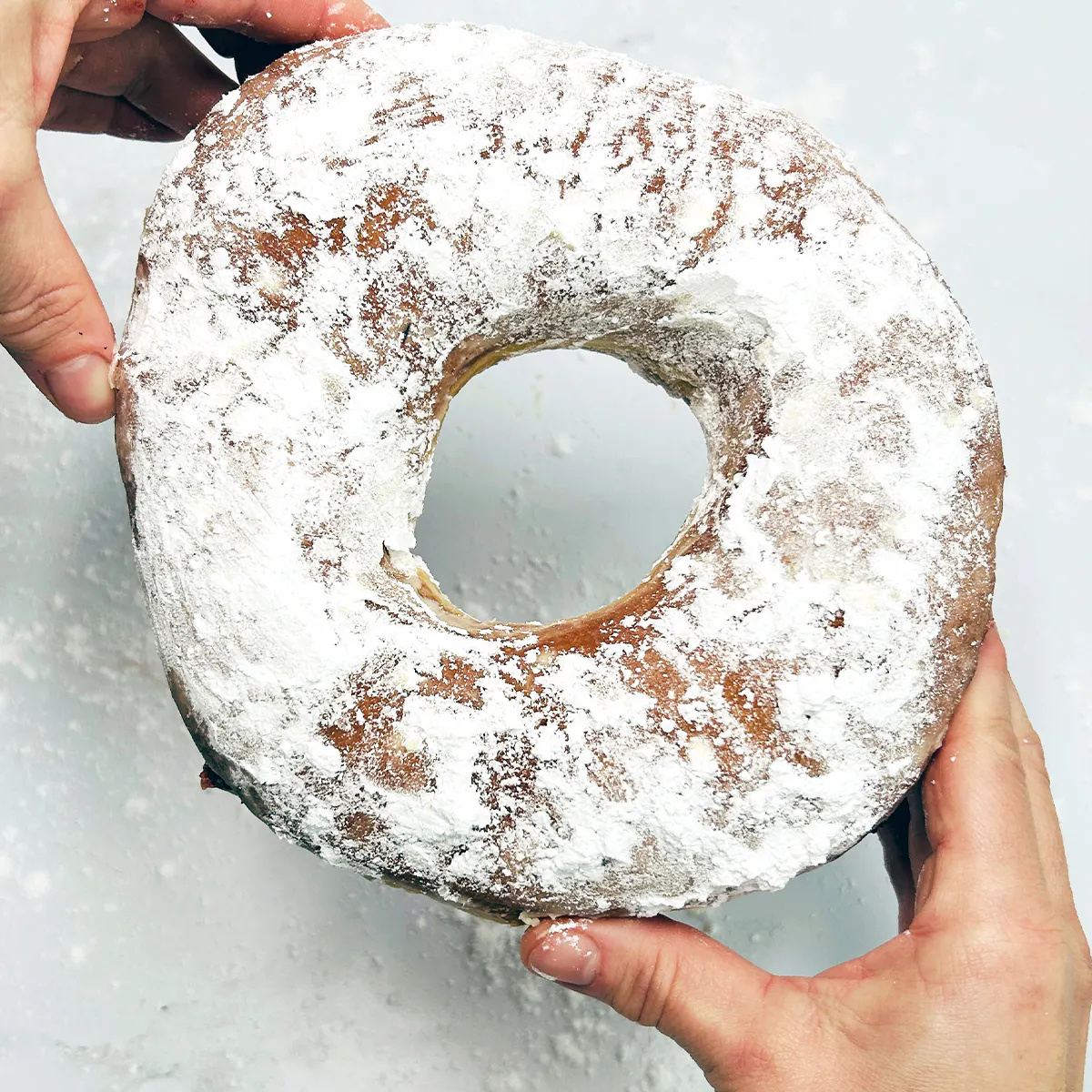 Hanukkah Jumbo Sufganiyot Jelly Filled Donut by Angel Food Bakery