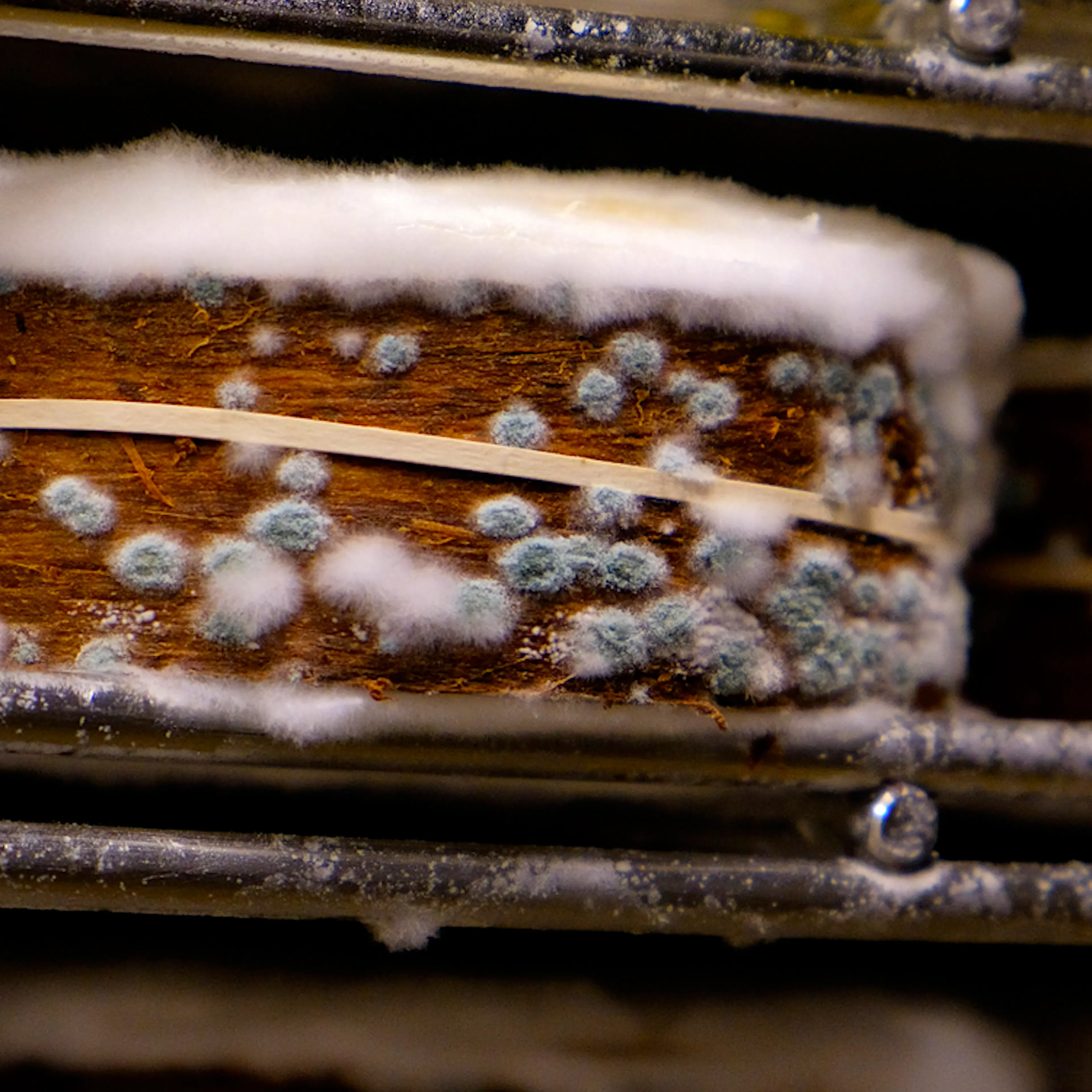 The Jasper Hill Style Guide by Jasper Hill Farm - Alternate image 3