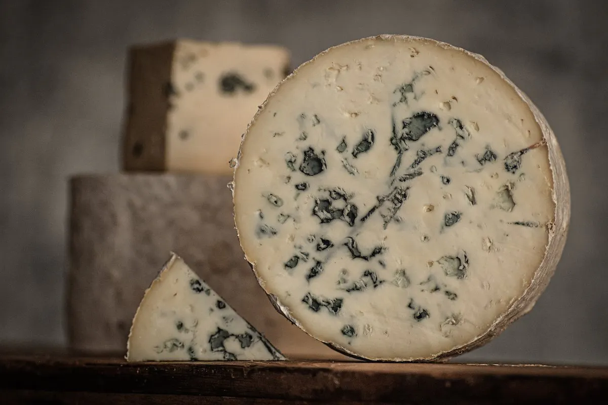 Bayley Hazen Blue by Jasper Hill Farm - Alternate image 5