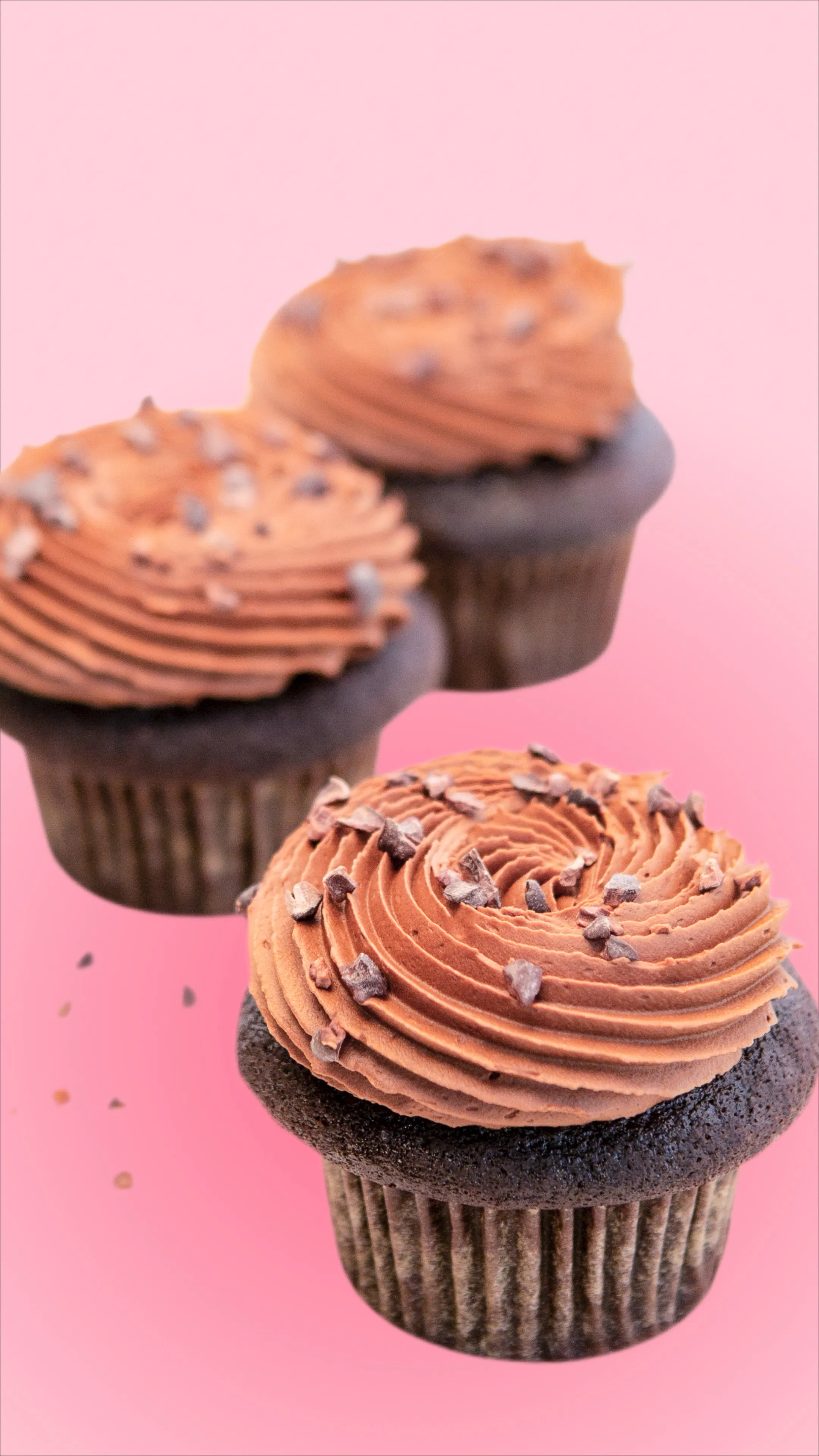 Chocolate Cleanse Cupcake - 12 Pack by Trophy Cupcakes