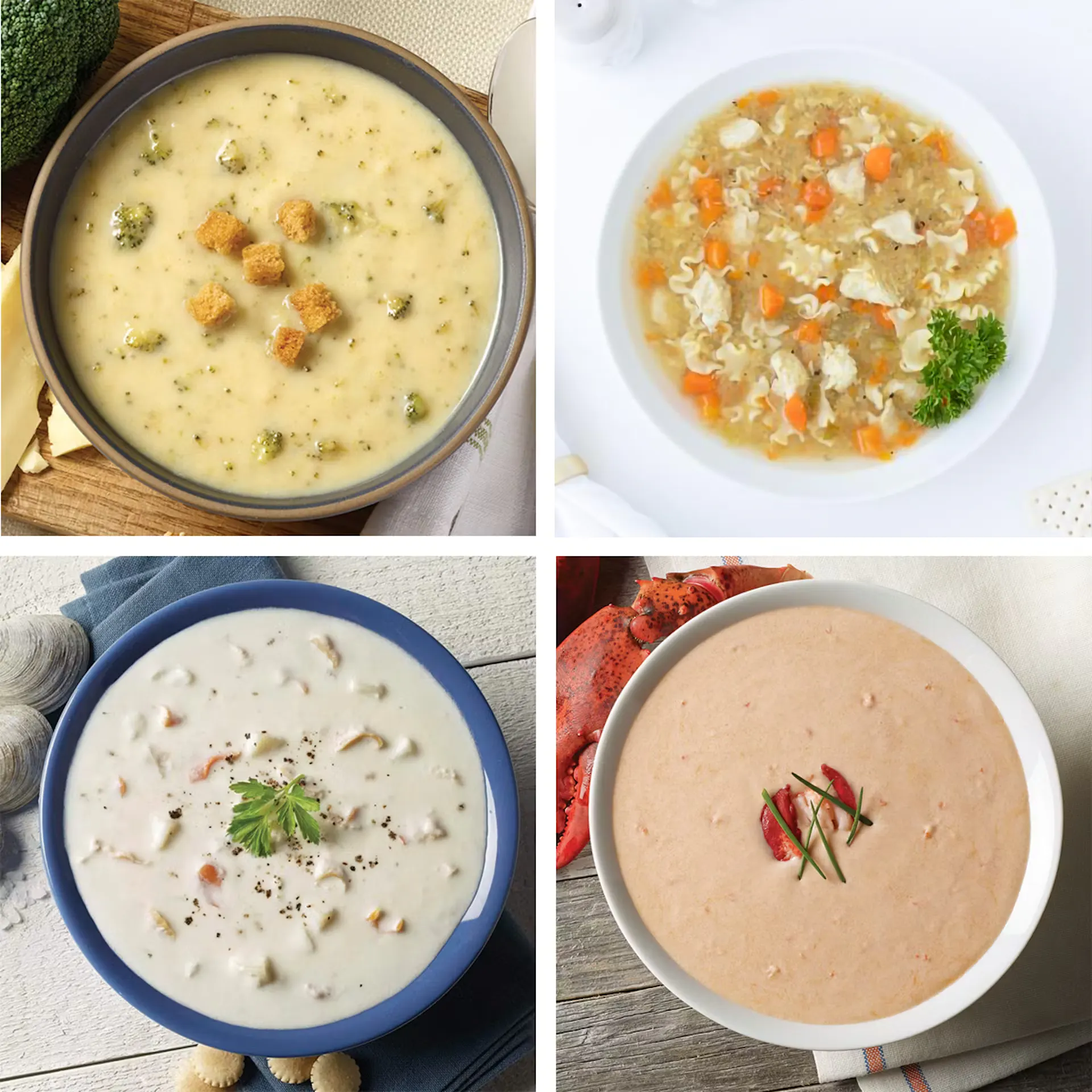 "Taste of Blount" Soup Sampler  - 4 Pack by Blount’s Family Kitchen Soups
