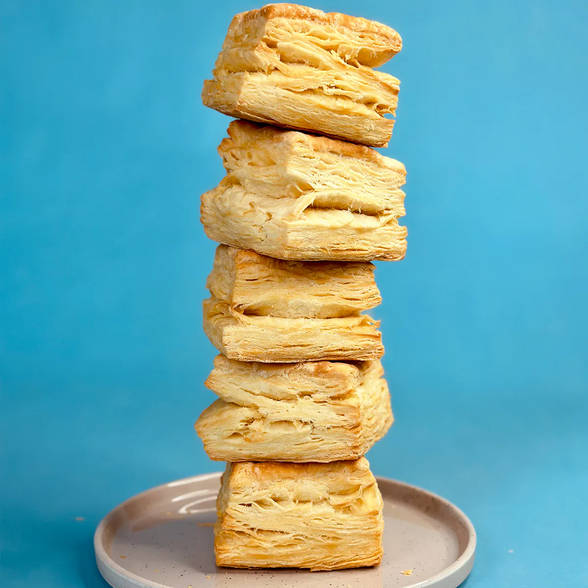 Buttermilk Biscuits - 8 Pack by Biscuit Love - Alternate image 3