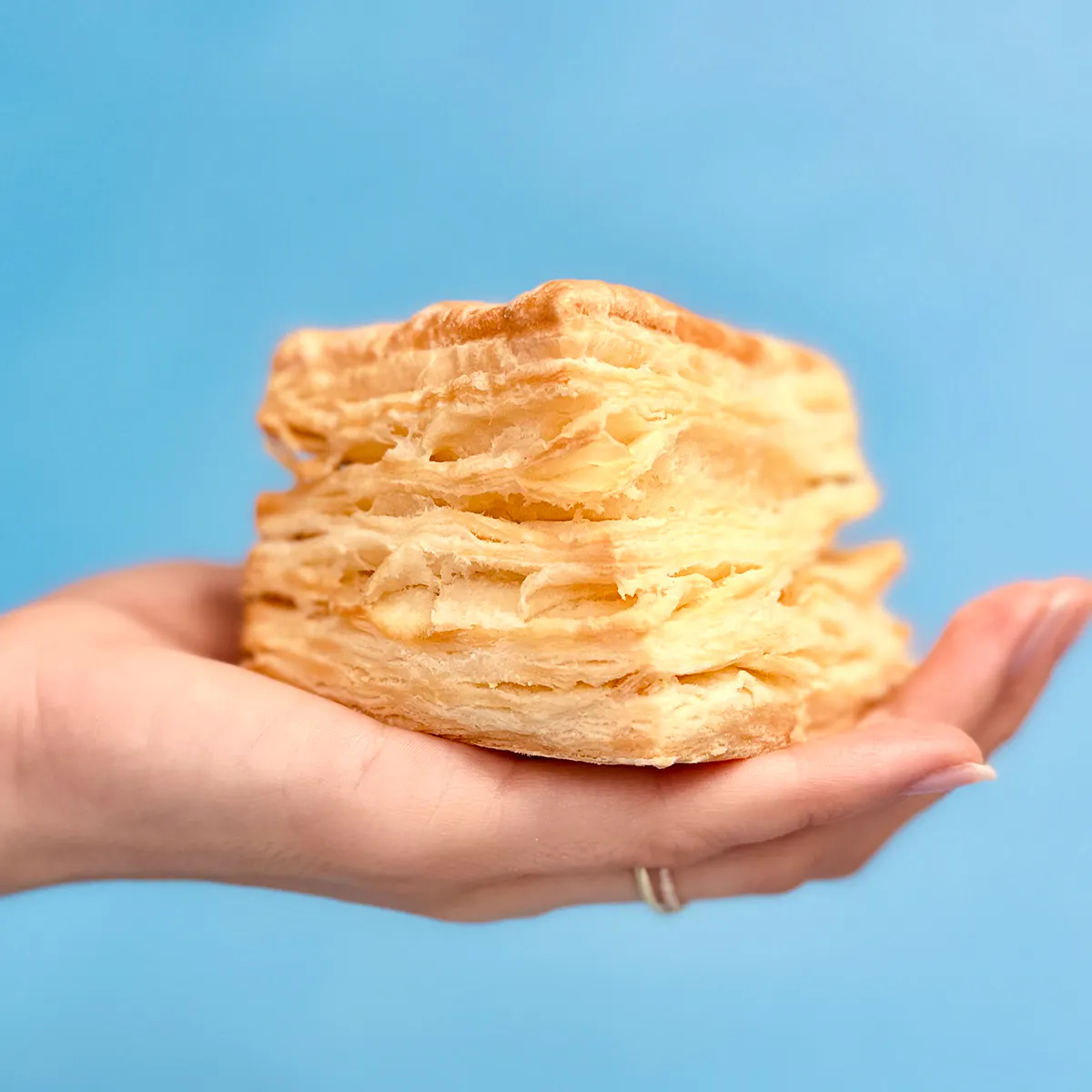 Buttermilk Biscuits - 8 Pack by Biscuit Love - Alternate image 2