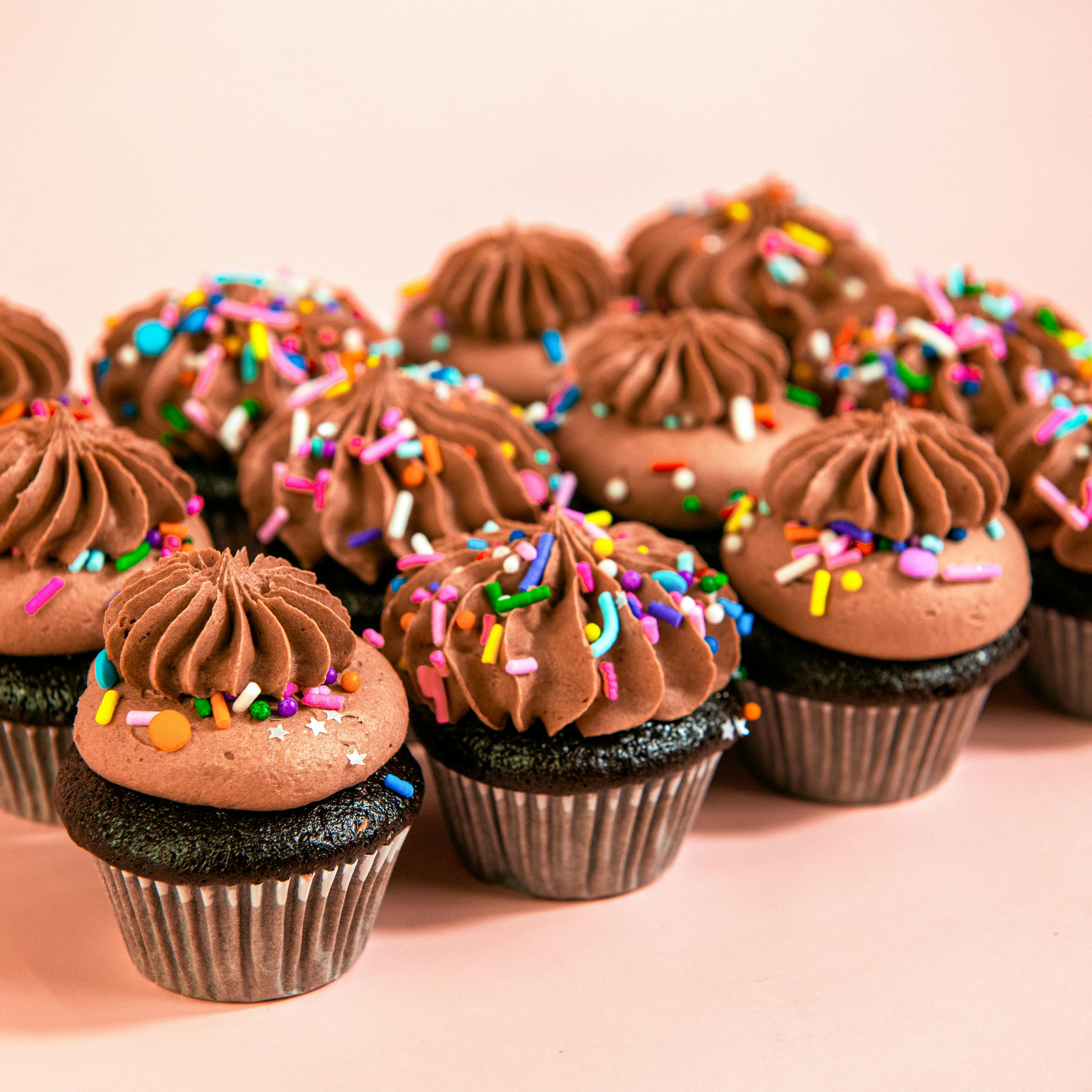 Vegan Chocolate Mini Cupcakes - 12 Pack by Trophy Cupcakes