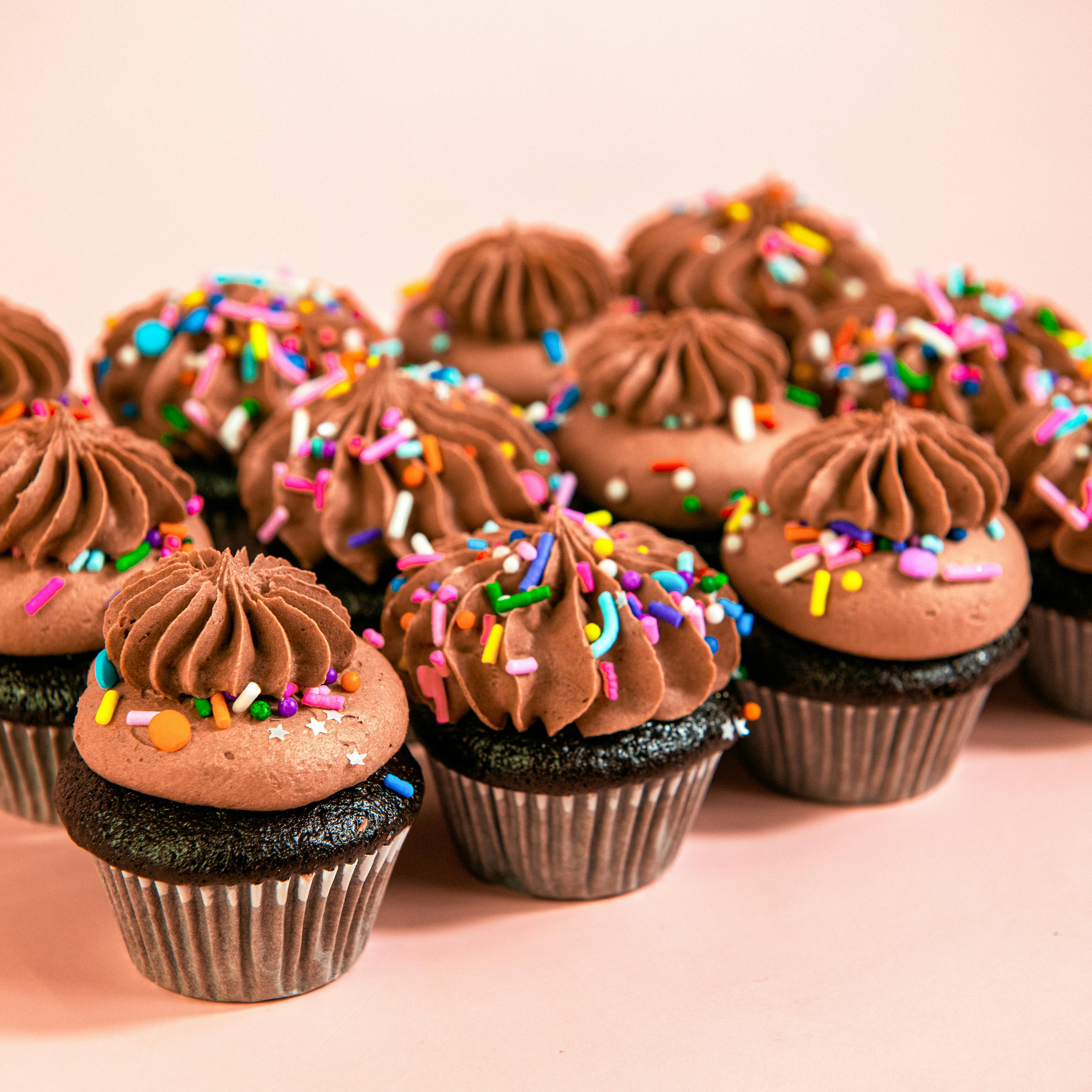 Vegan Chocolate Mini Cupcakes - 12 Pack by Trophy Cupcakes
