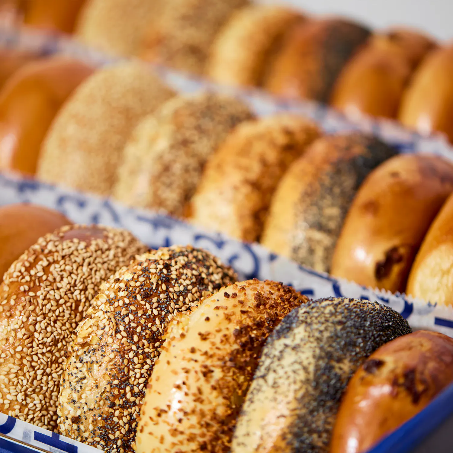 Bagels, Cream Cheese & Nova Scotia Salmon - Two Dozen by H&H Bagels - Alternate image 3