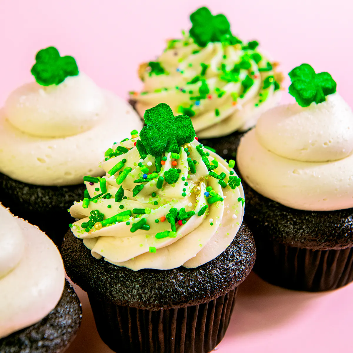 St. Patrick's Day Chocolate Guinness & Bailey's Cupcakes - 6 Pack by Trophy Cupcakes - Alternate image 1