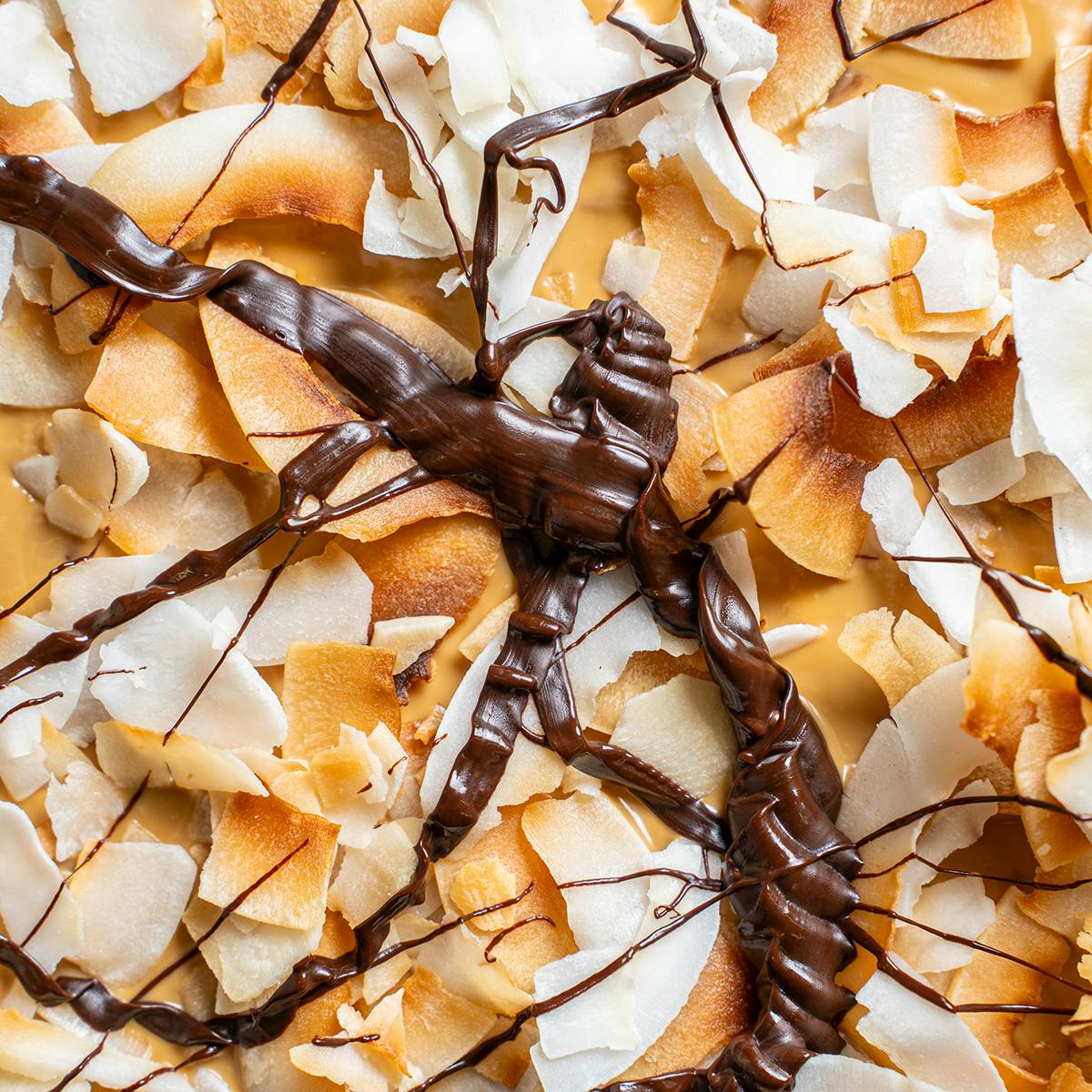 Fany Gerson's Mexican Chocolate Matzah - Choose Your Own by La Newyorkina - Alternate image 3