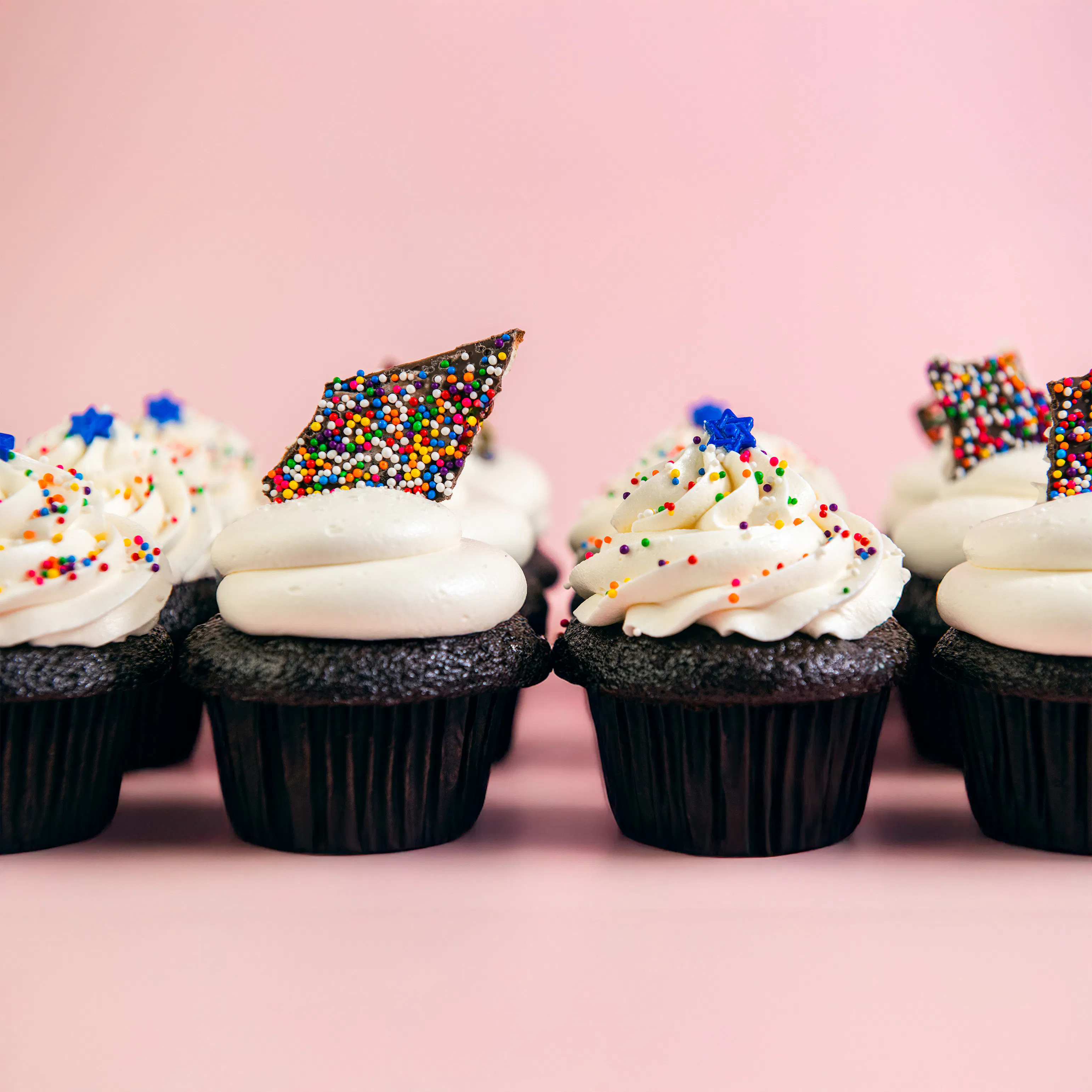 Passover Flourless Chocolate Decadence Cupcakes - 12 Pack by Trophy Cupcakes - Alternate image 4