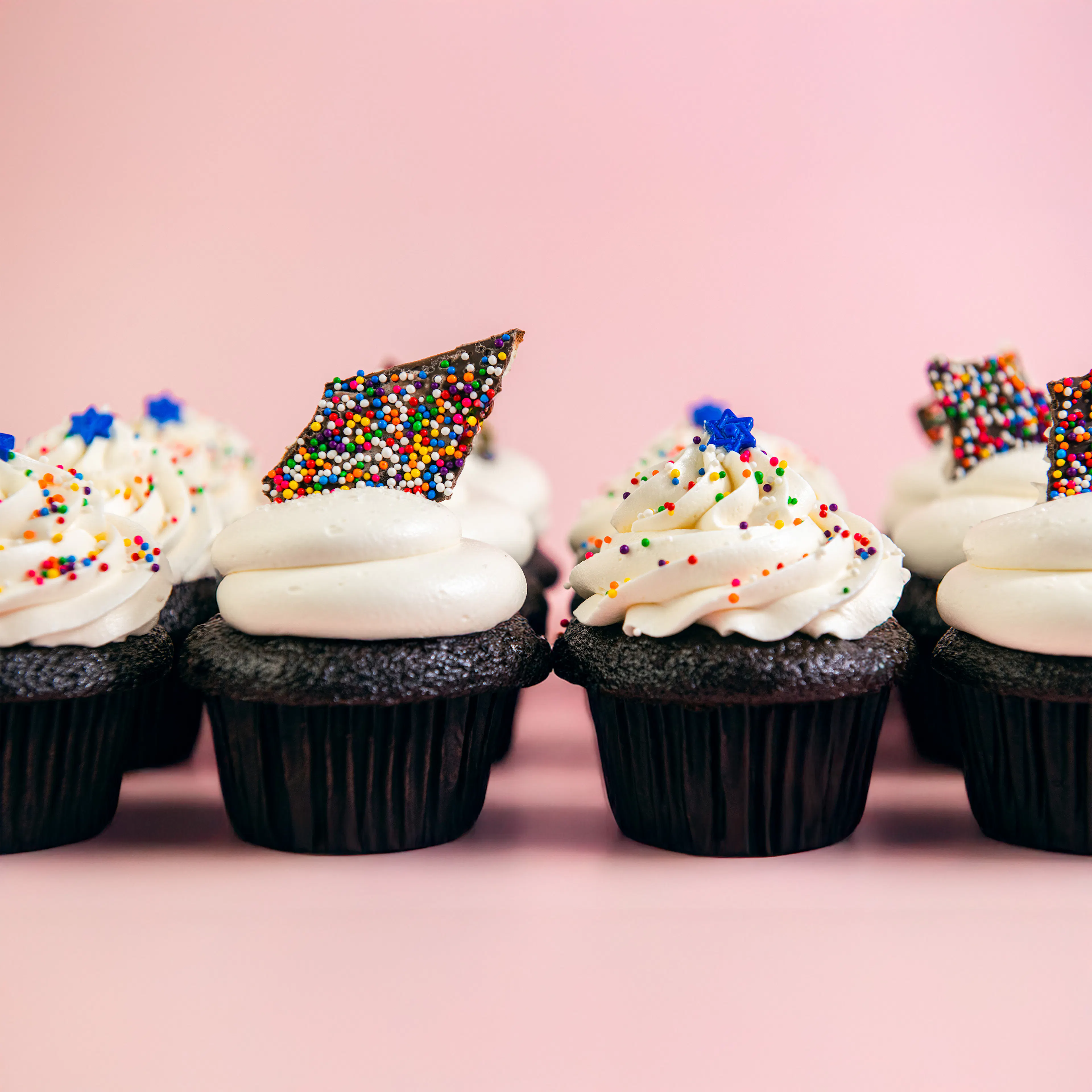 Passover Flourless Chocolate Decadence Cupcakes - 12 Pack by Trophy Cupcakes - Alternate image 4