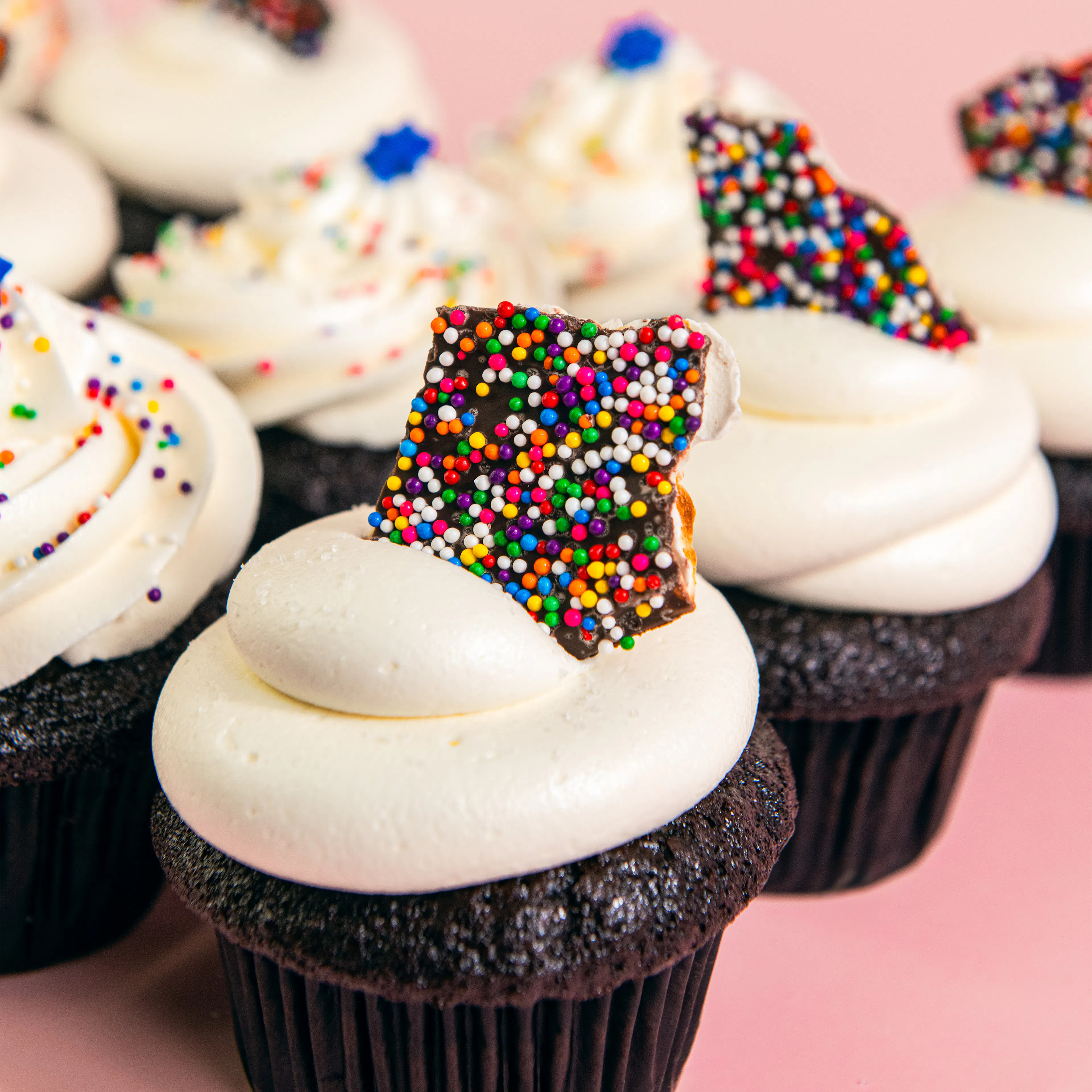 Passover Flourless Chocolate Decadence Cupcakes - 12 Pack by Trophy Cupcakes - Alternate image 1