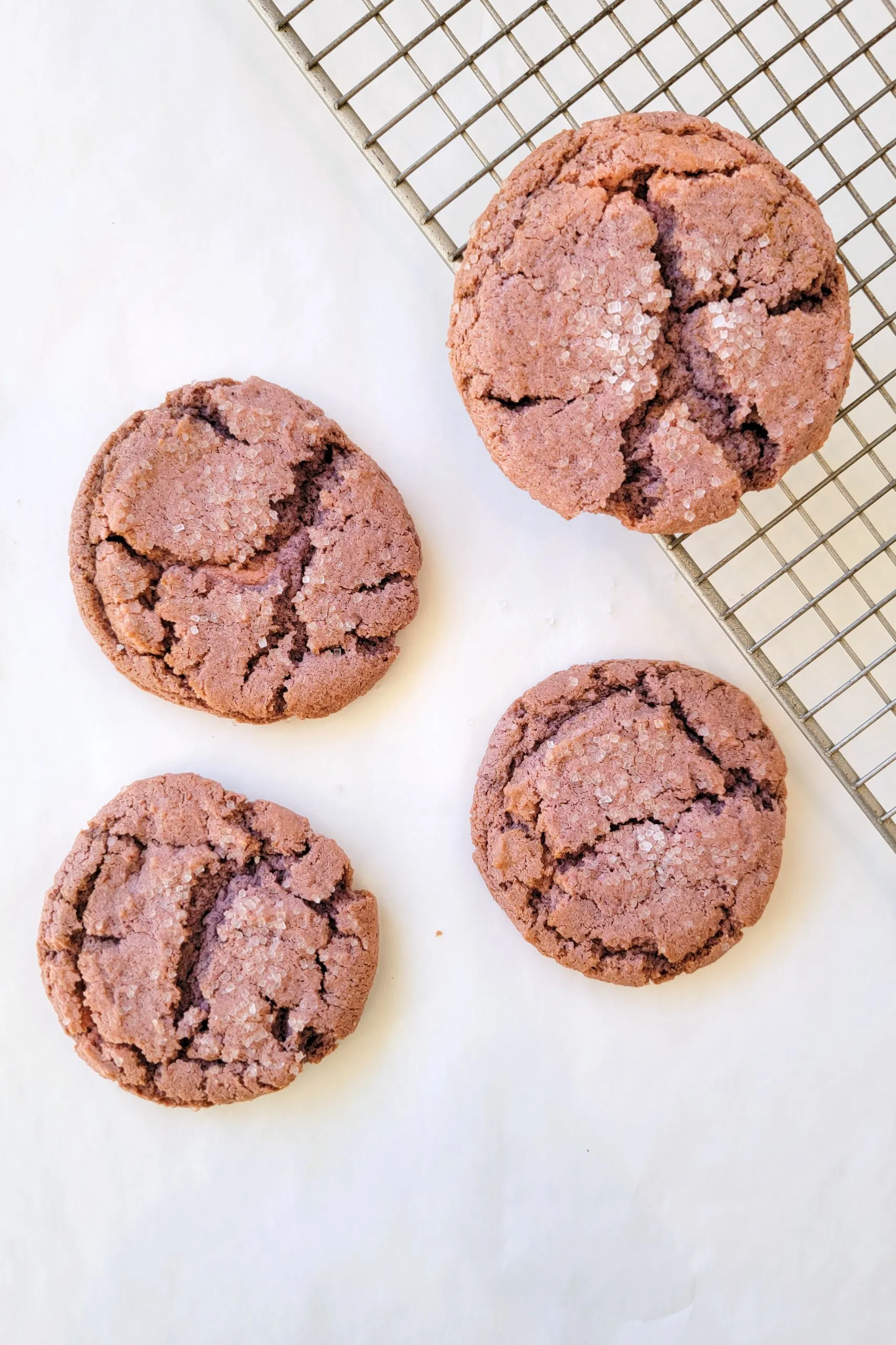 Gluten Free Springtime Cookie Sampler - 12 Pack by Ocean House Bakery - Alternate image 1