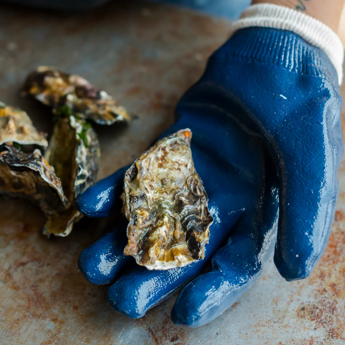 Oyster Shucking Gloves by Hog Island Oyster Co.