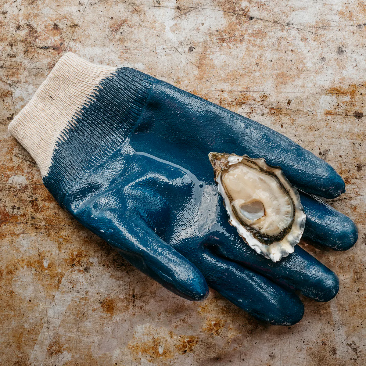 Oyster Shucking Gloves by Hog Island Oyster Co. - Alternate image 1