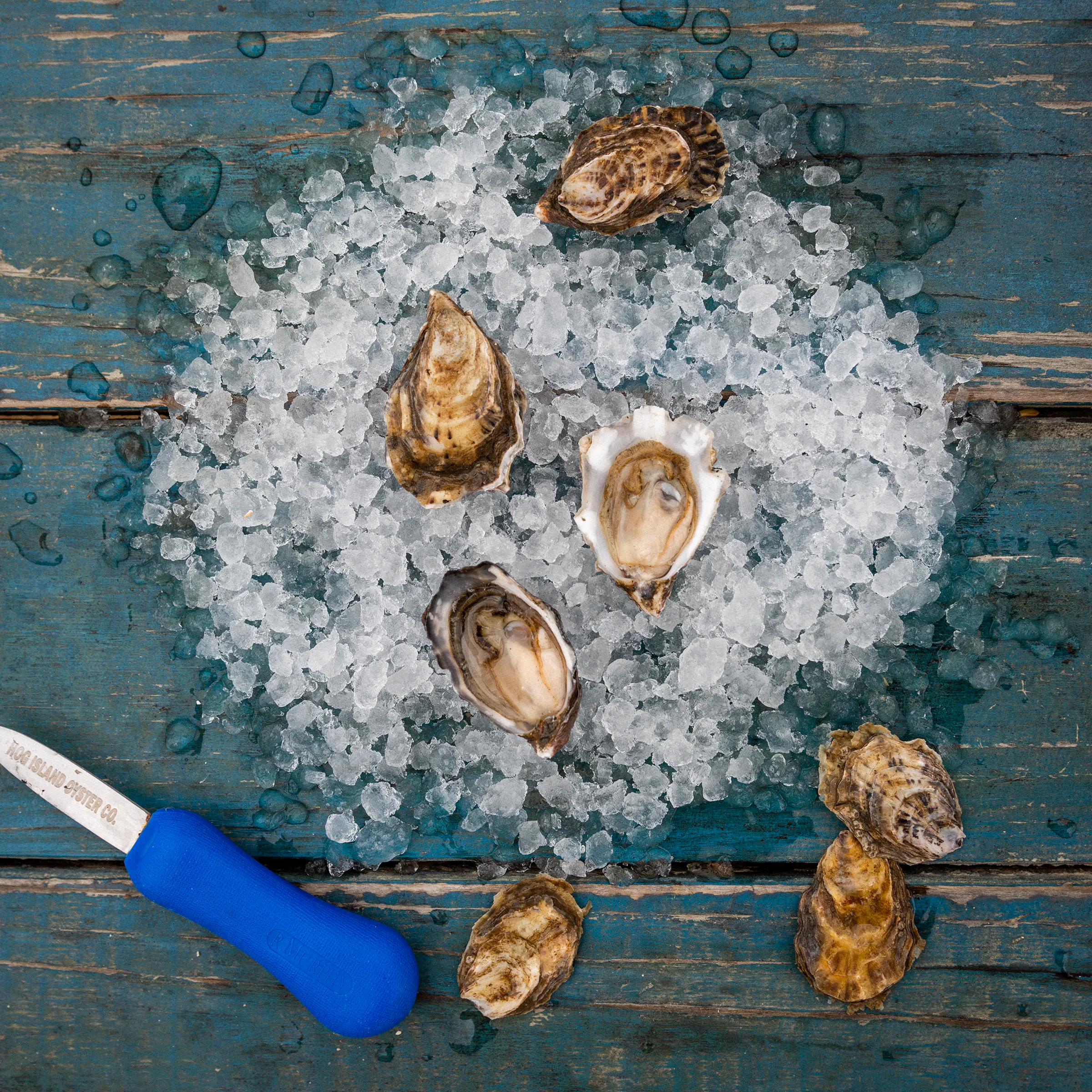 Hog Island Petites by Hog Island Oyster Co.