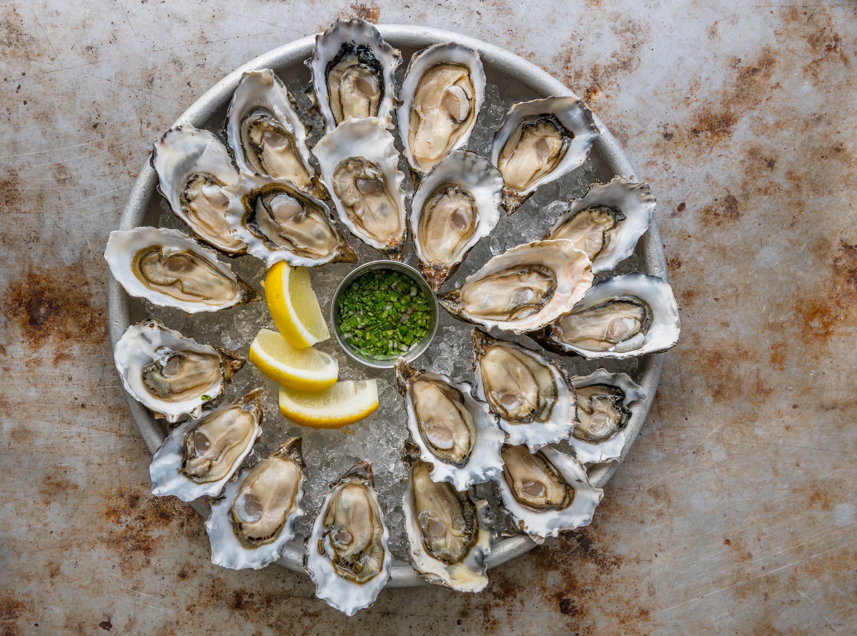 Hog Island Sweetwaters - Extra Small by Hog Island Oyster Co. - Alternate image 1