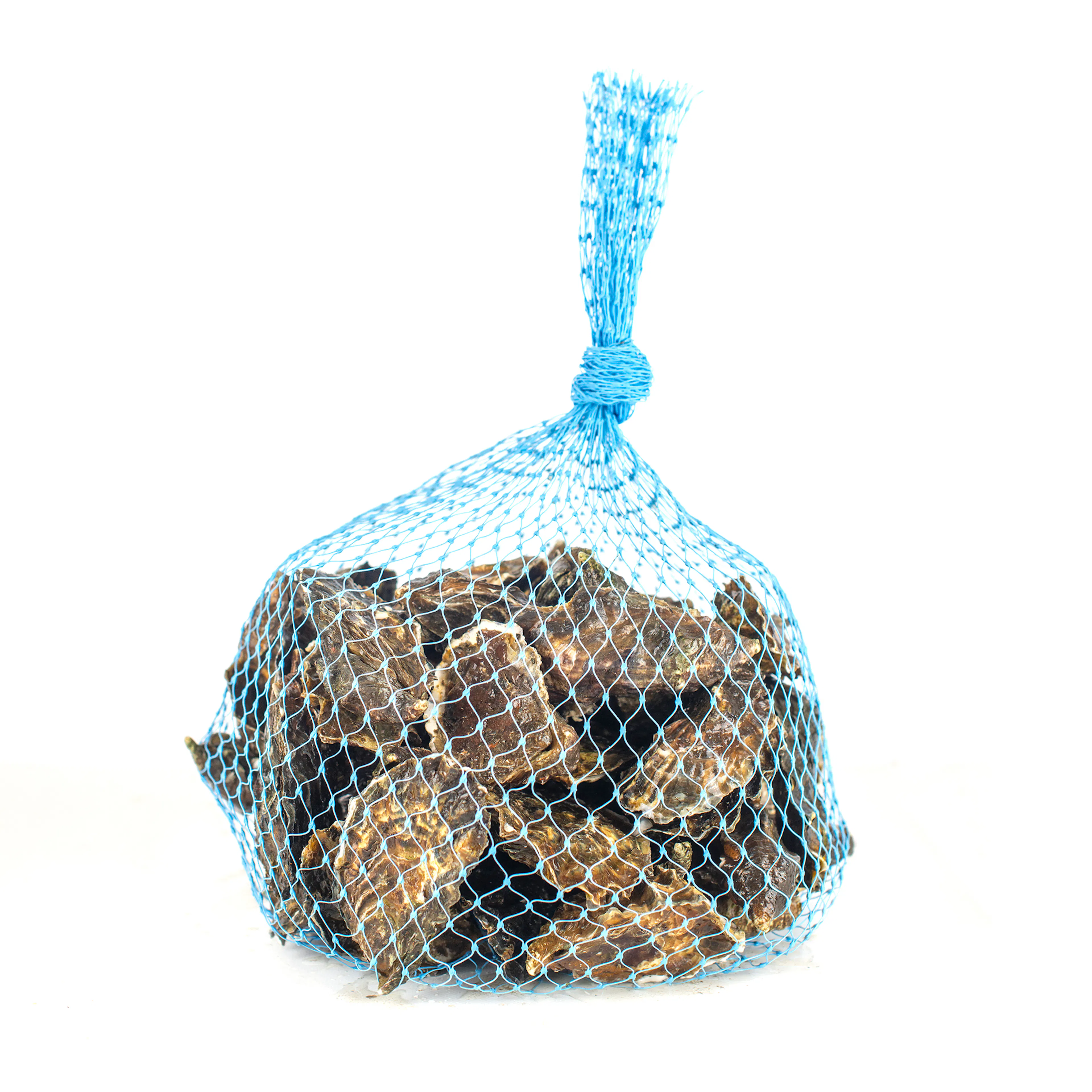 Hog Island Sweetwaters (Small) by Hog Island Oyster Co. - Alternate image 1
