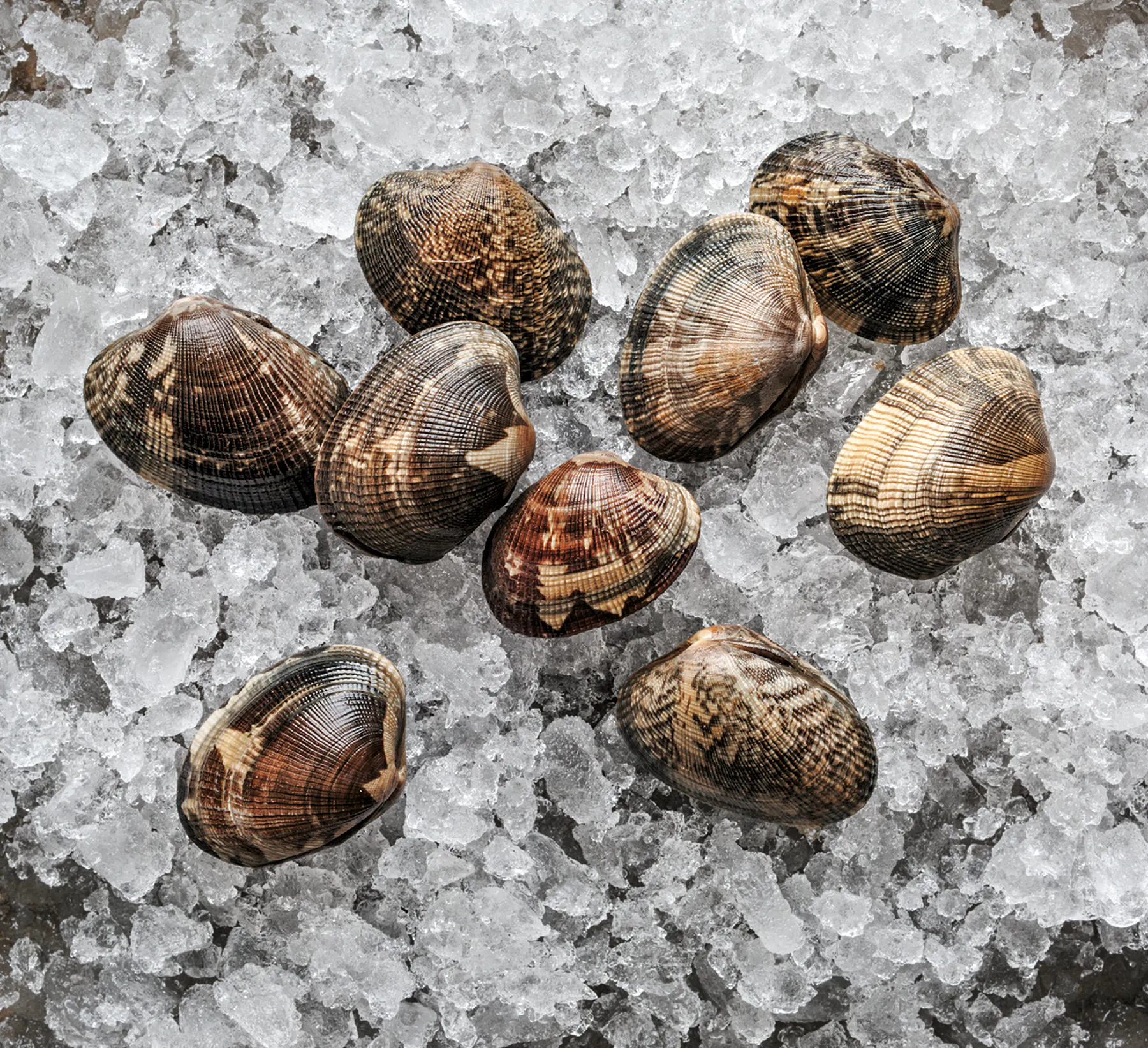 Manila Clams by Hog Island Oyster Co.