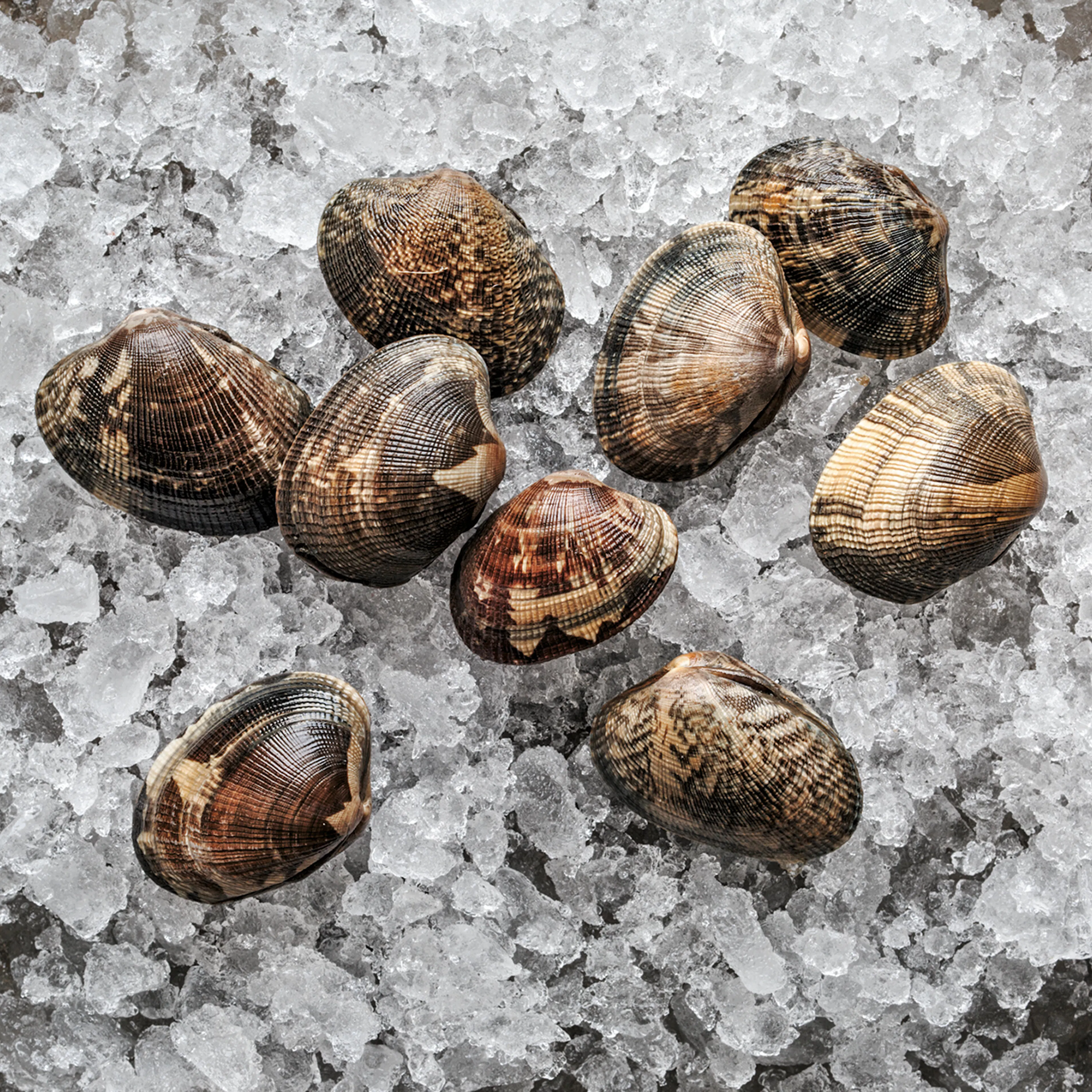Manila Clams by Hog Island Oyster Co.