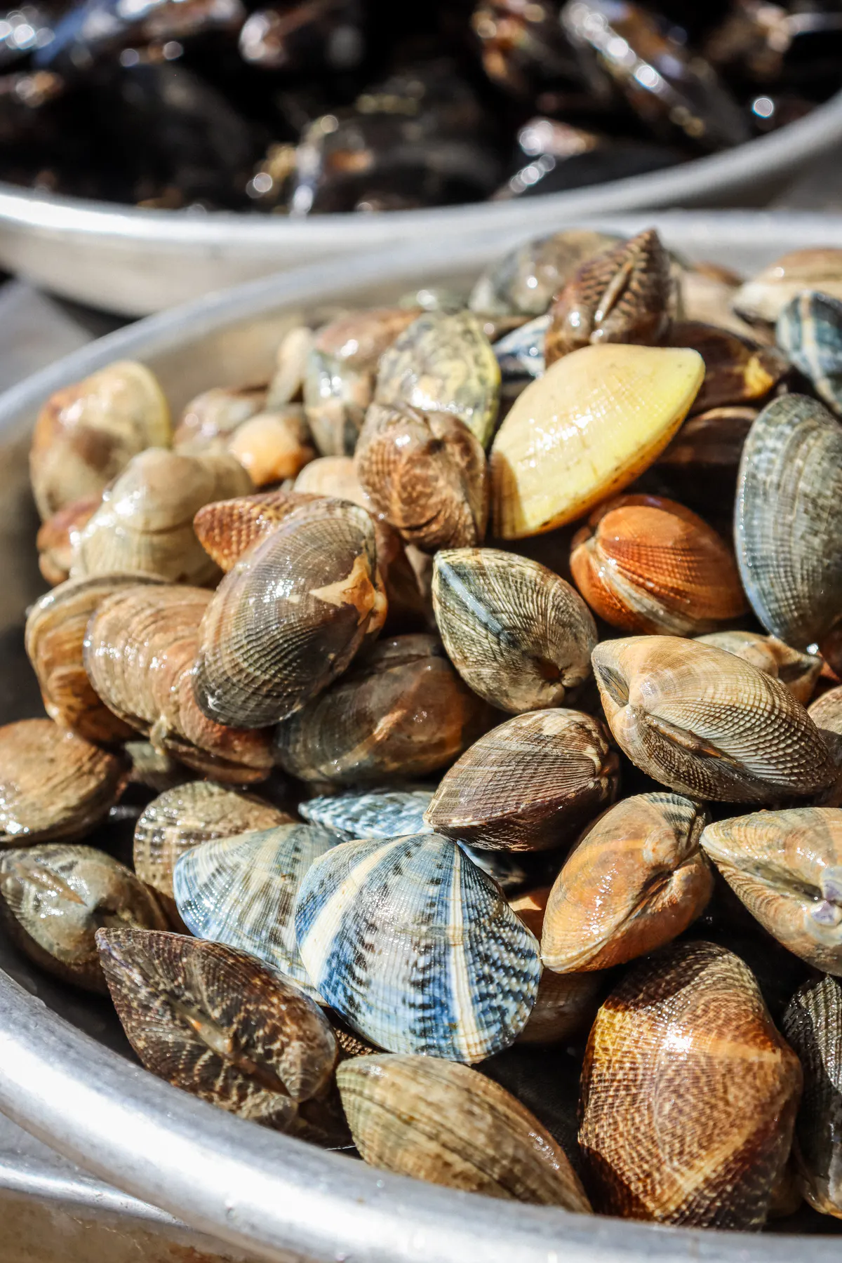 Manila Clams by Hog Island Oyster Co. - Alternate image 2