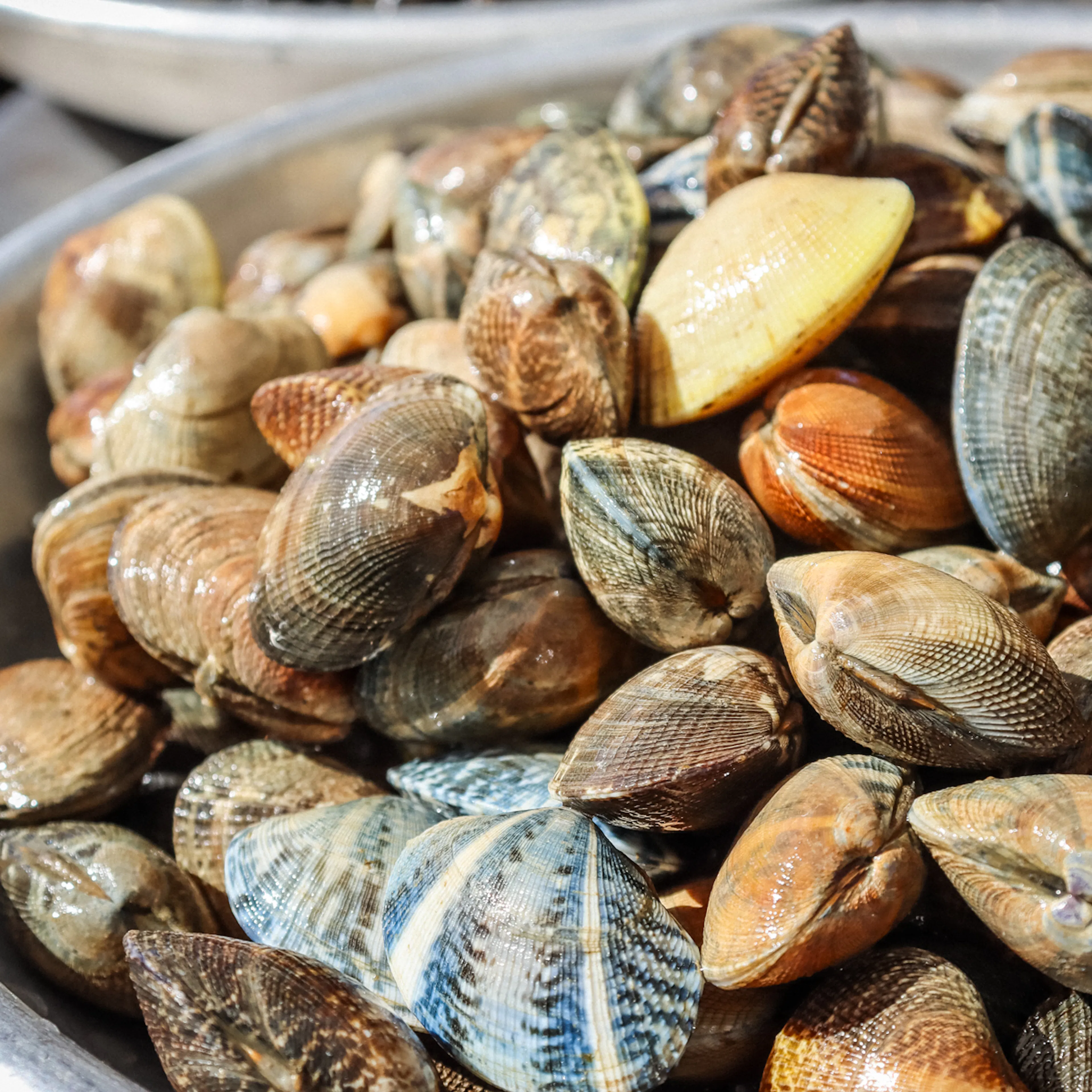 Manila Clams by Hog Island Oyster Co. - Alternate image 2