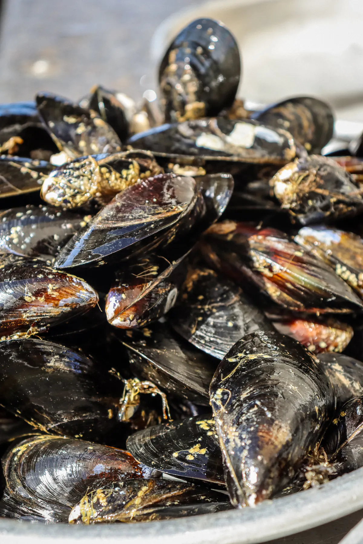 Mediterranean Mussels by Hog Island Oyster Co. - Alternate image 1