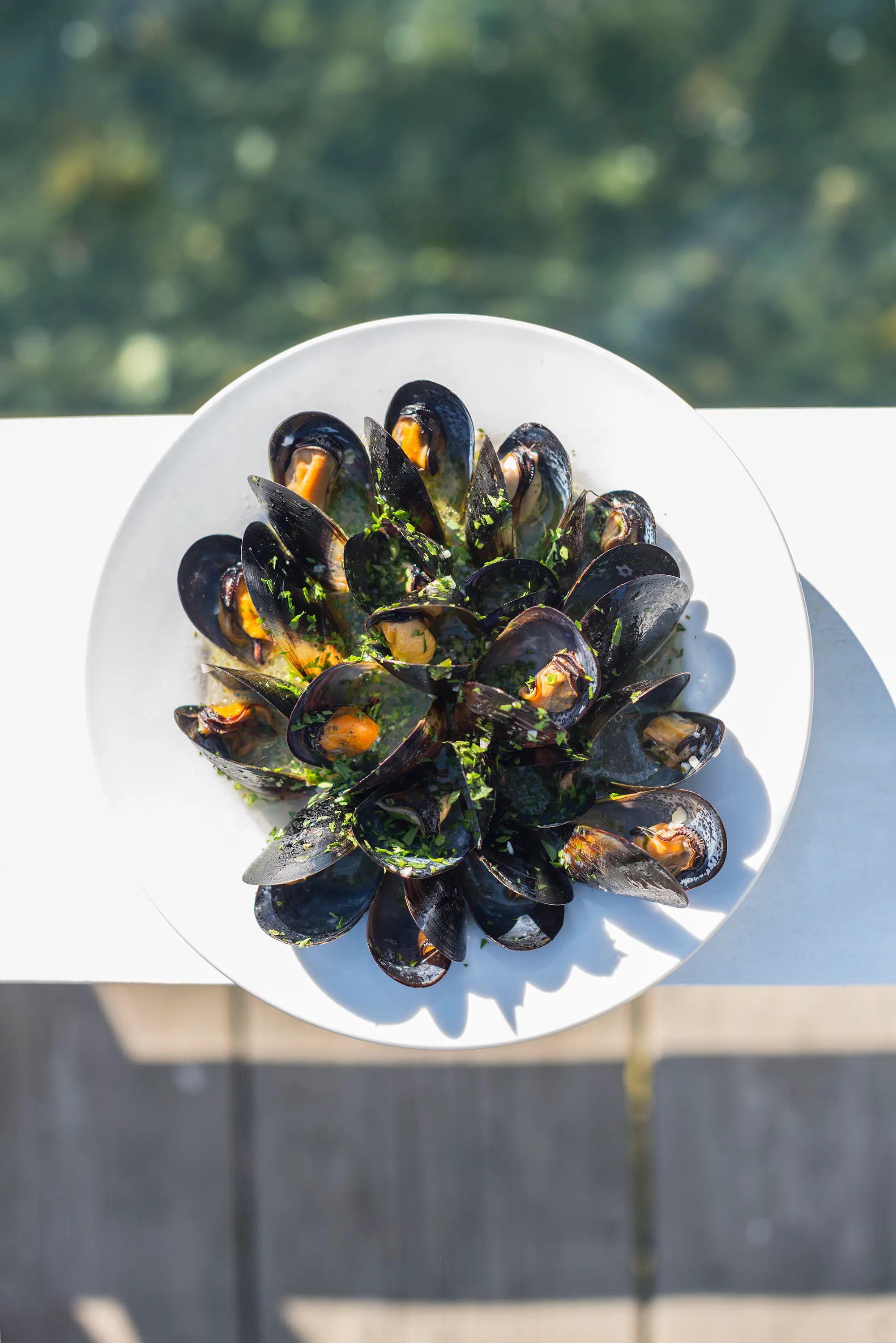 Mediterranean Mussels by Hog Island Oyster Co. - Alternate image 2