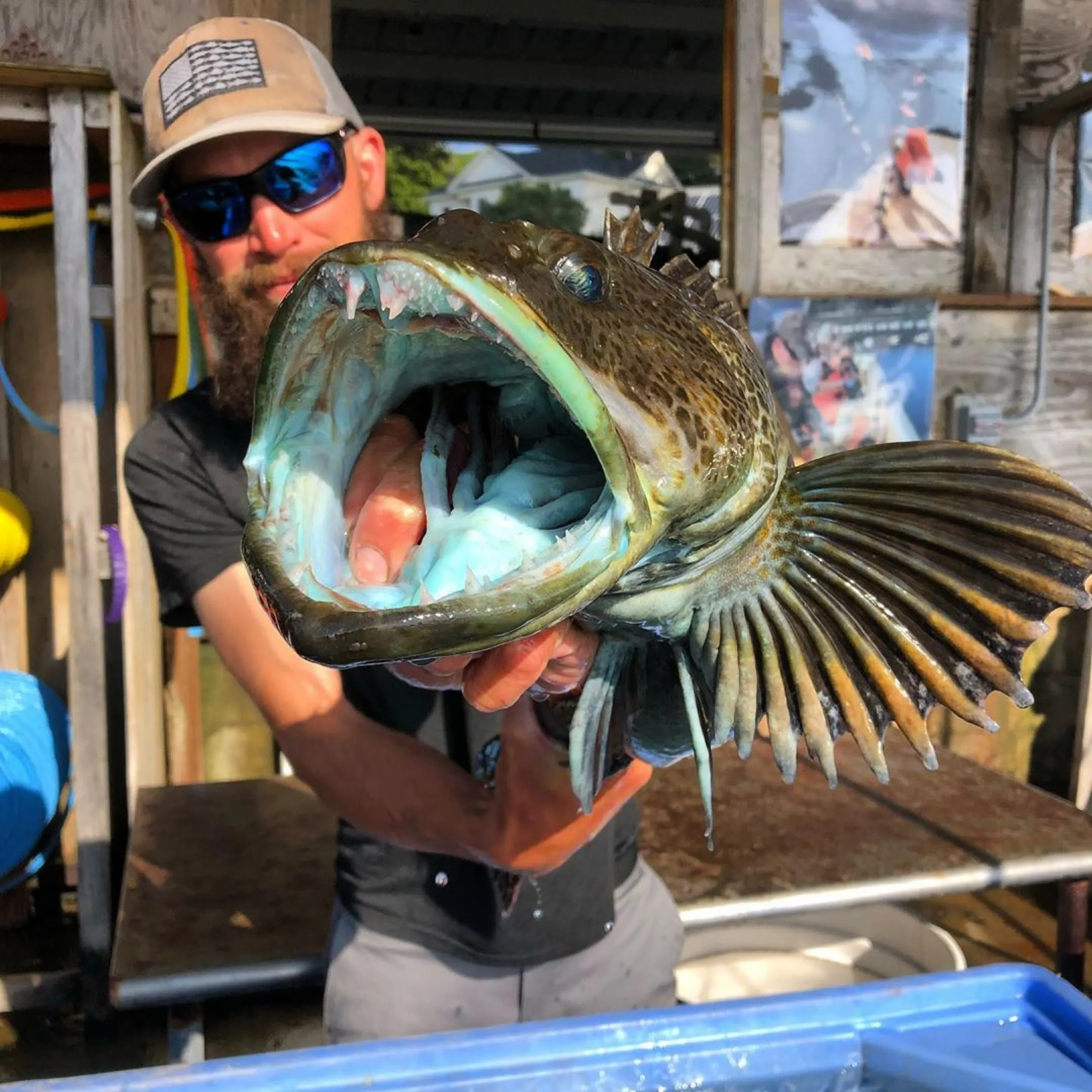 Lingcod by Hog Island Oyster Co.