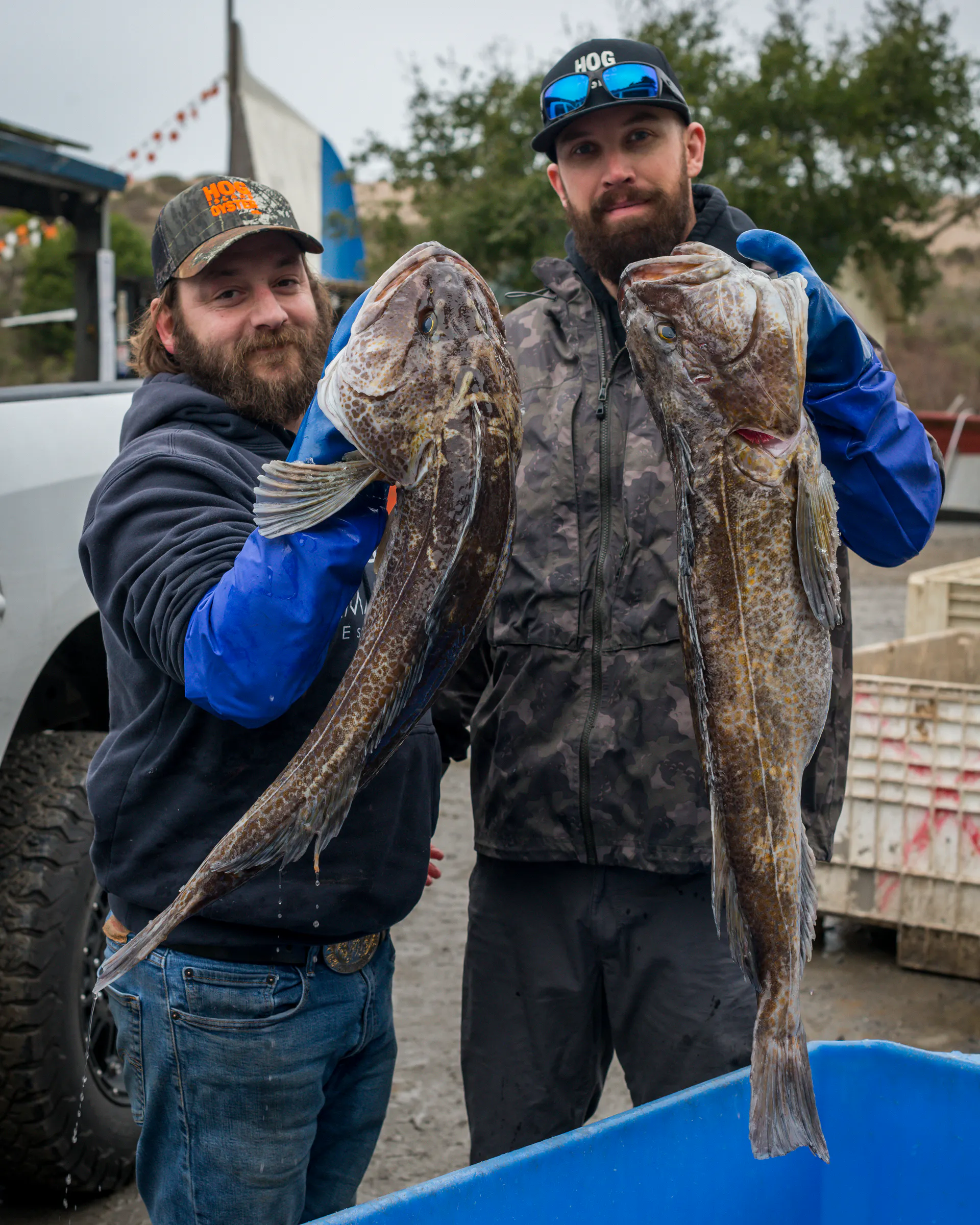 Lingcod by Hog Island Oyster Co. - Alternate image 1