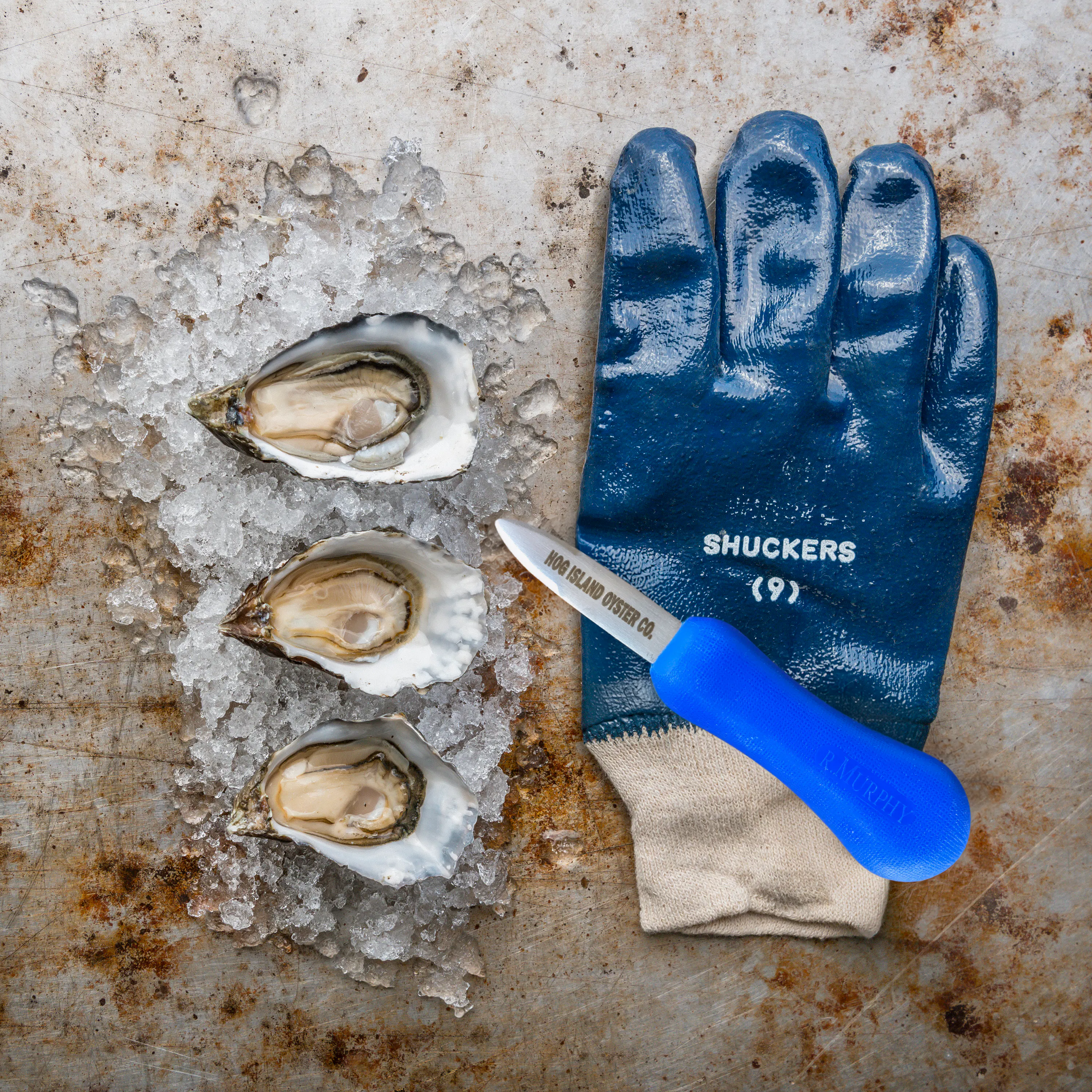 Beginner's Oyster Shucking Kit by Hog Island Oyster Co. | Goldbelly
