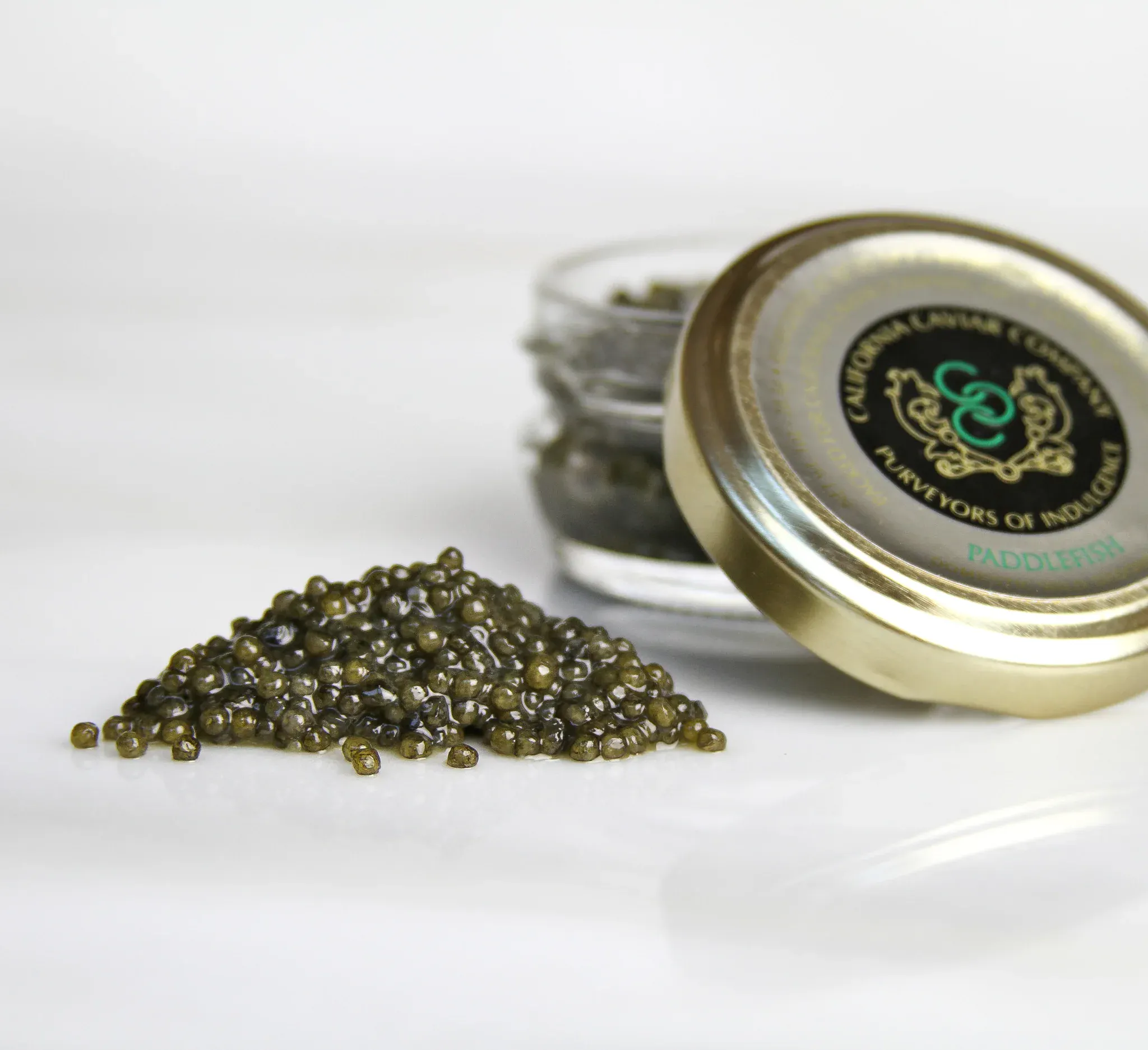Caviar + Oyster Box by Hog Island Oyster Co. - Alternate image 1