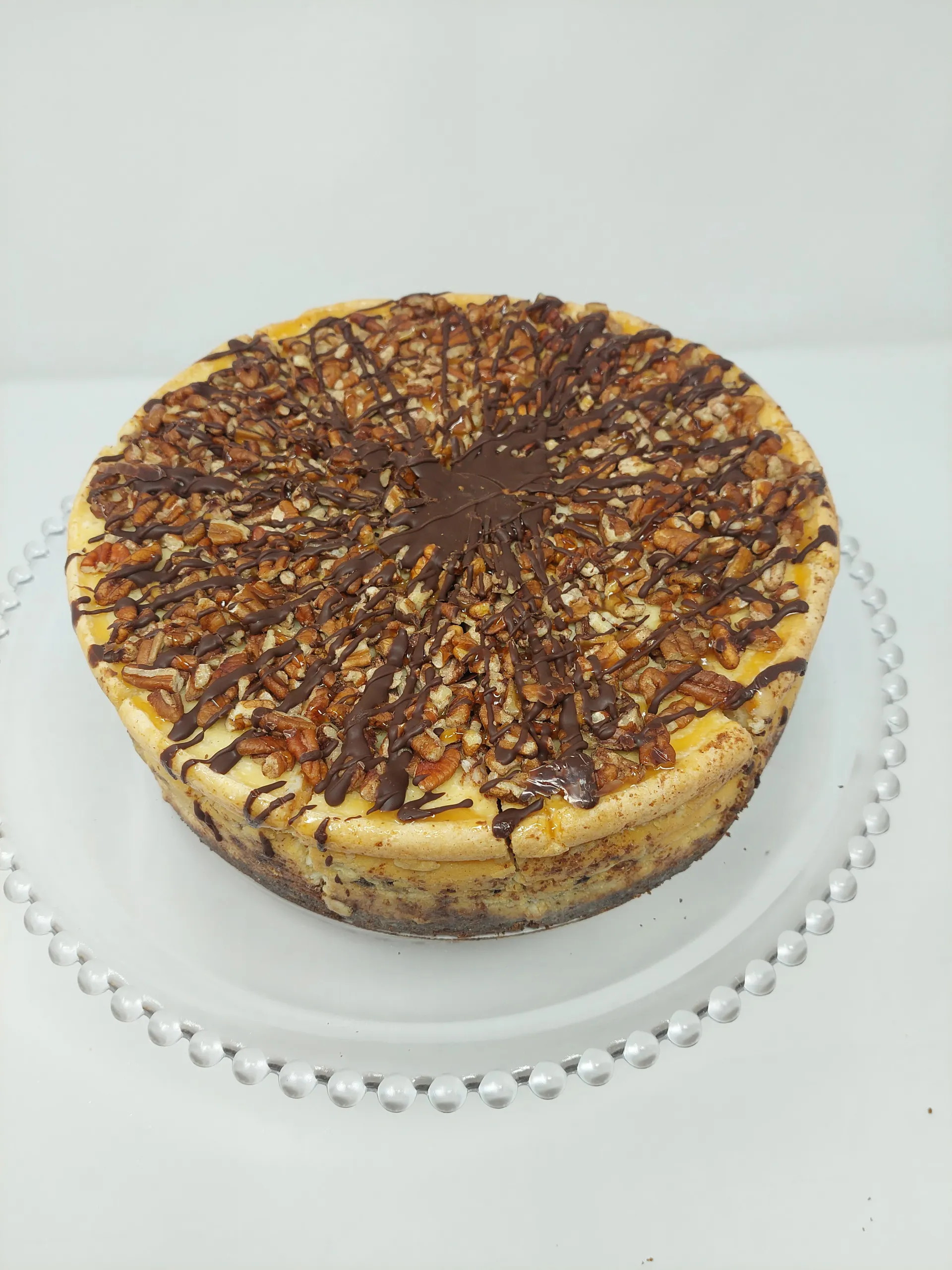 Turtle Cheesecake by Muddy Paws Cheesecake