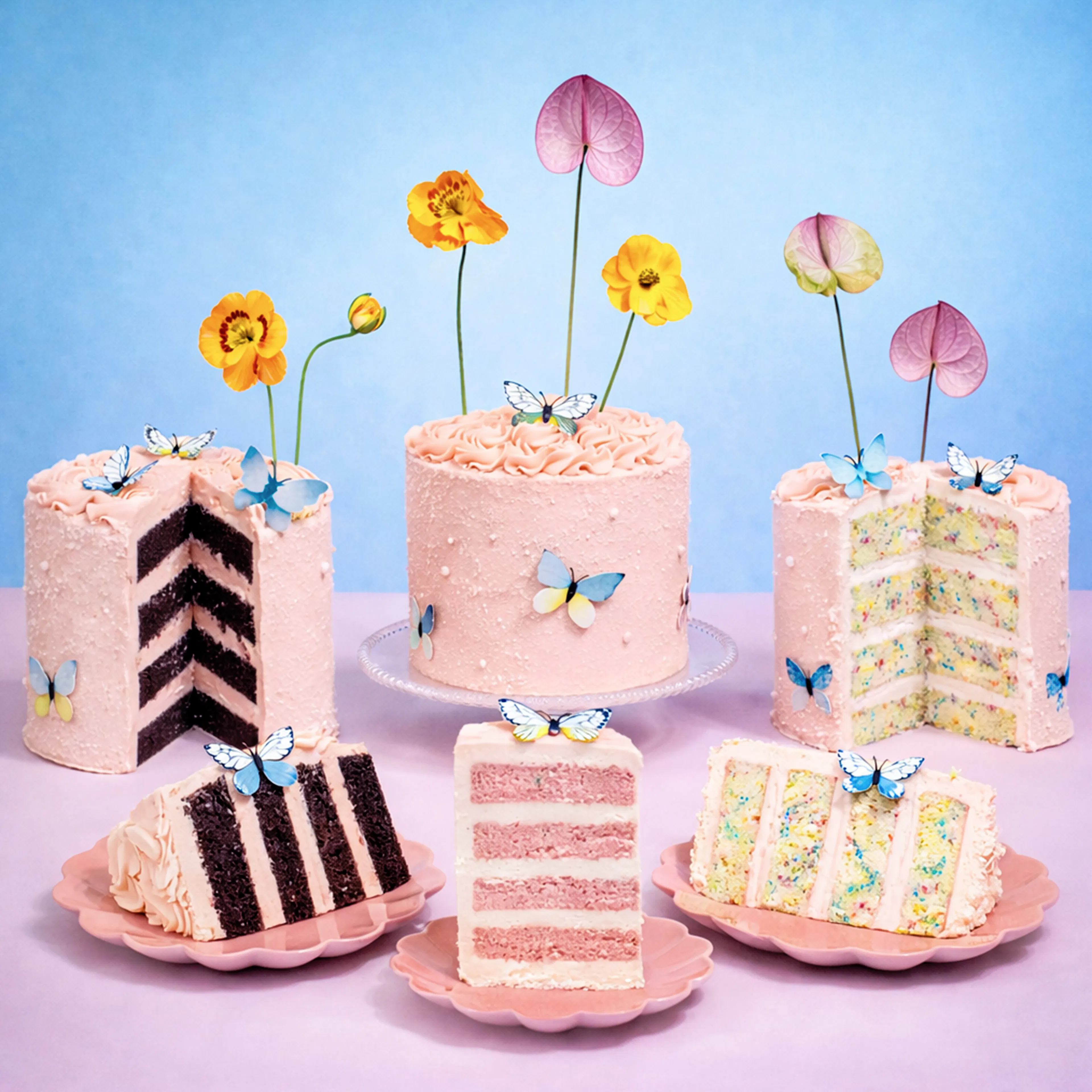 Beautiful Butterfly Cake by Trophy Cupcakes