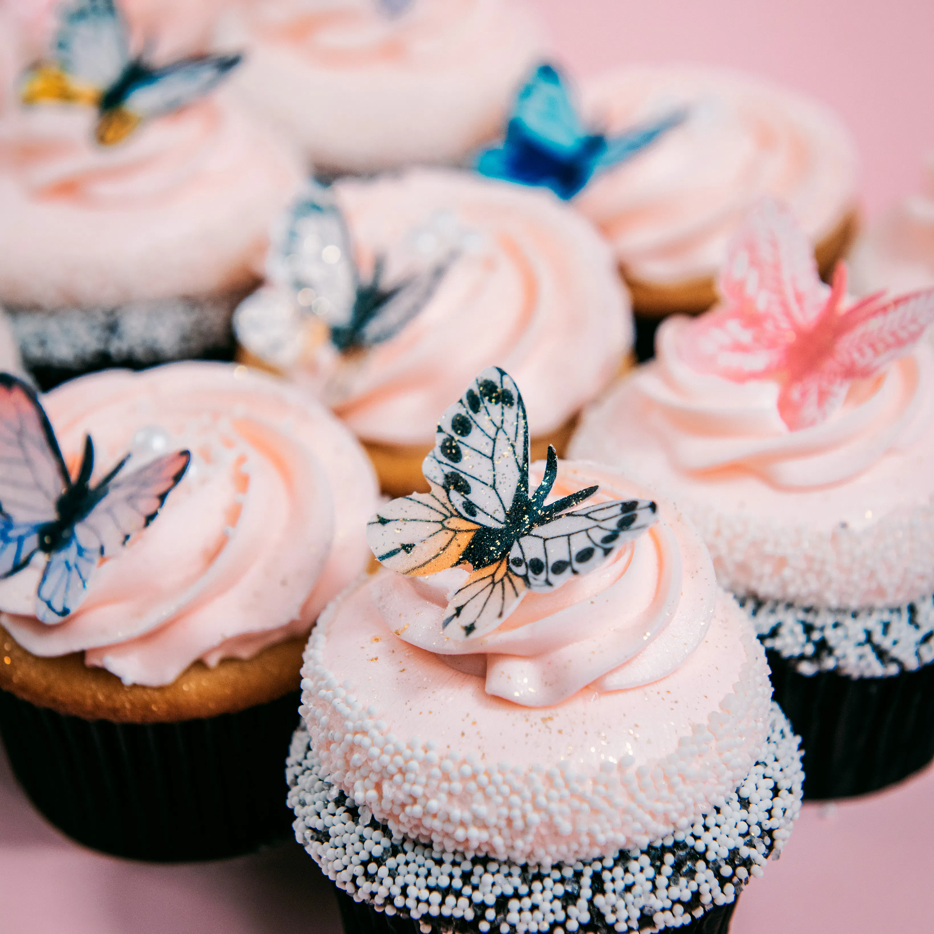 Beautiful Butterfly Cupcakes - 12 Pack by Trophy Cupcakes - Alternate image 1