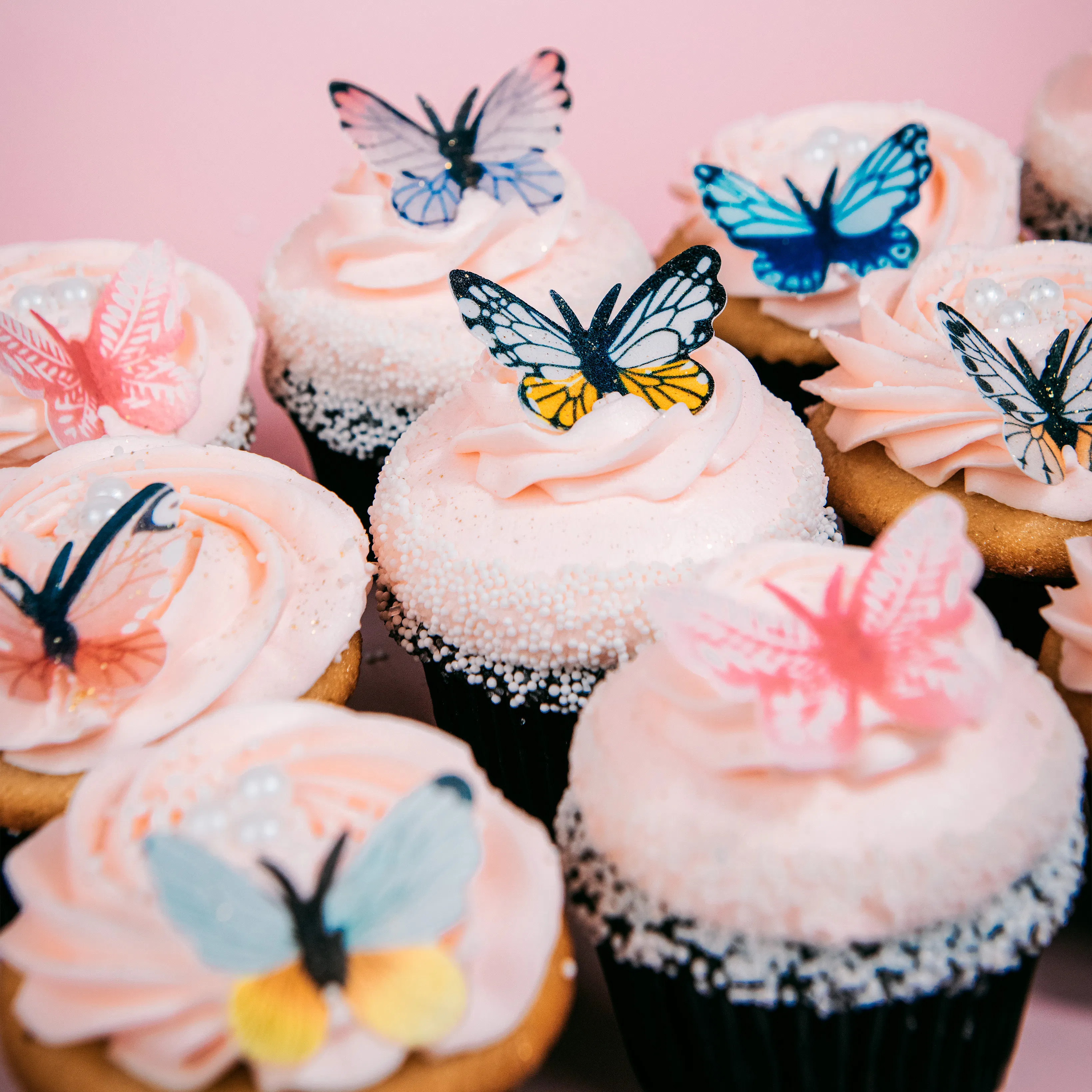 Beautiful Butterfly Cupcakes - 12 Pack by Trophy Cupcakes - Alternate image 2