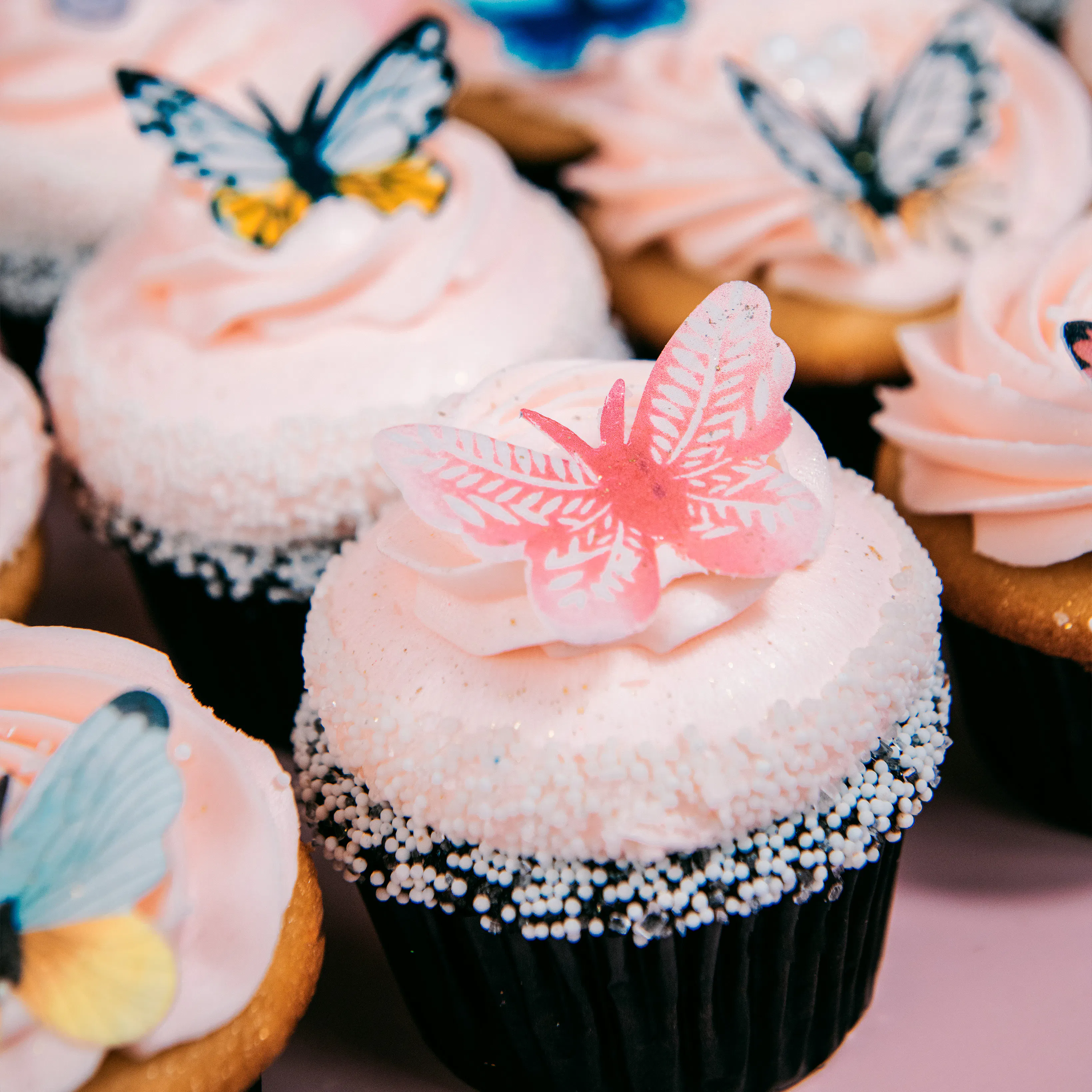 Beautiful Butterfly Cupcakes - 12 Pack by Trophy Cupcakes - Alternate image 3