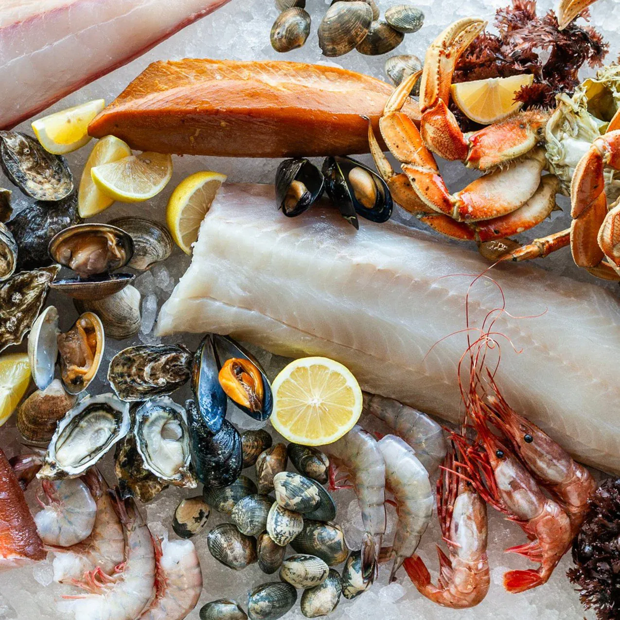 Hog Island Seafood Club by Hog Island Oyster Co.