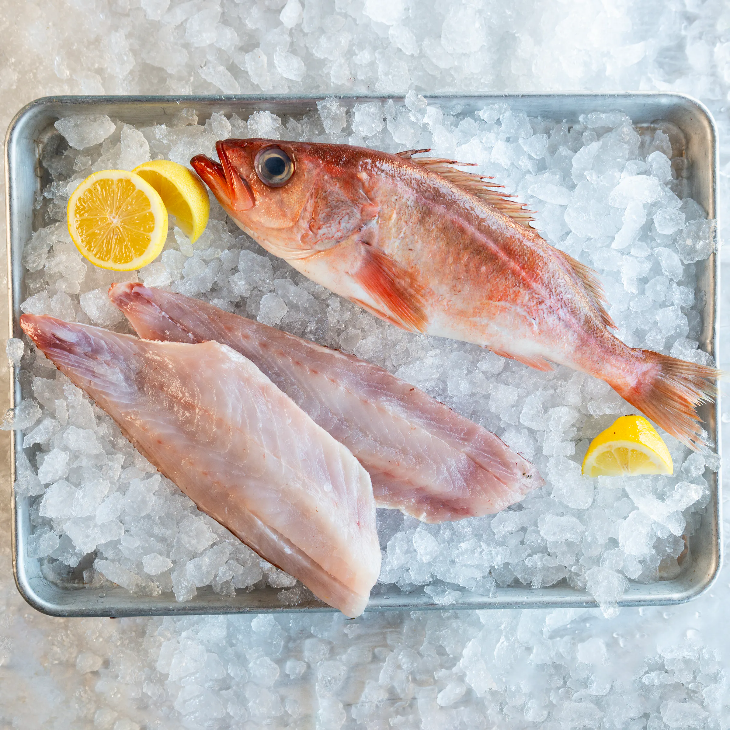 Hog Island Seafood Club by Hog Island Oyster Co. - Alternate image 1