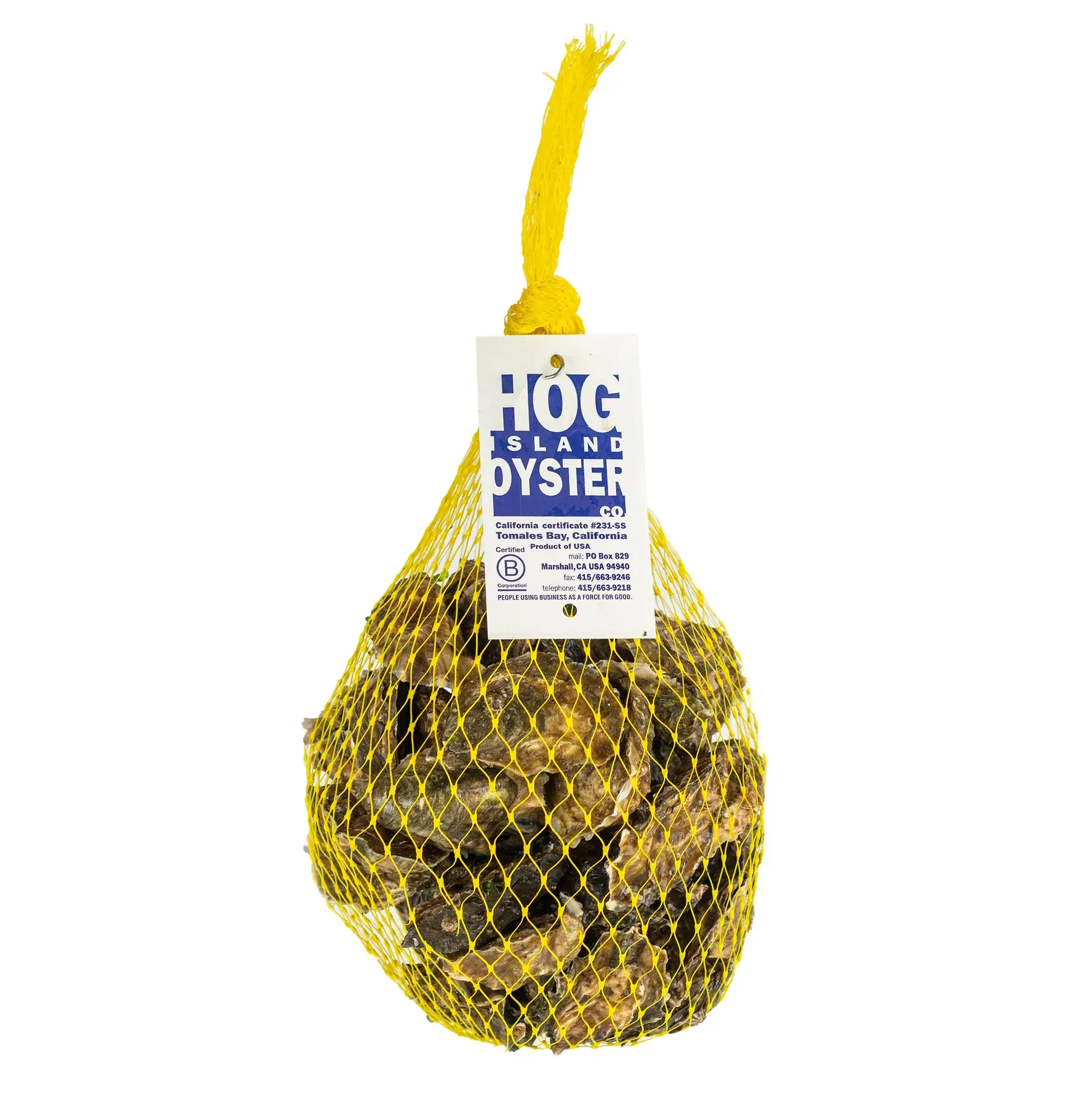 Hog Island Oyster Club by Hog Island Oyster Co. - Alternate image 4