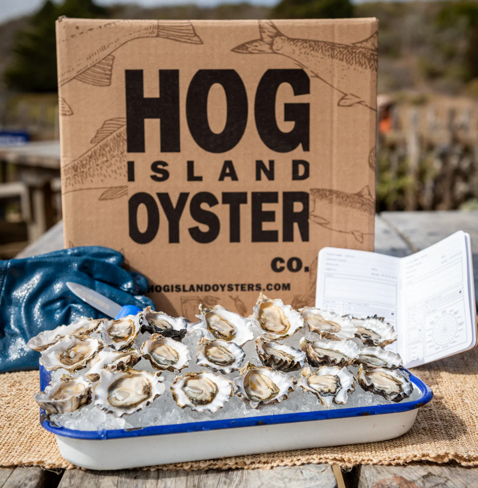 Hog Island Oyster Club by Hog Island Oyster Co.