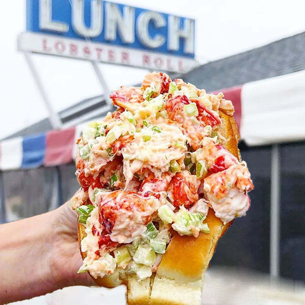 Lobster Roll Kit - Buy 4, Get 4 FREE by LUNCH Lobster Roll - Alternate image 2