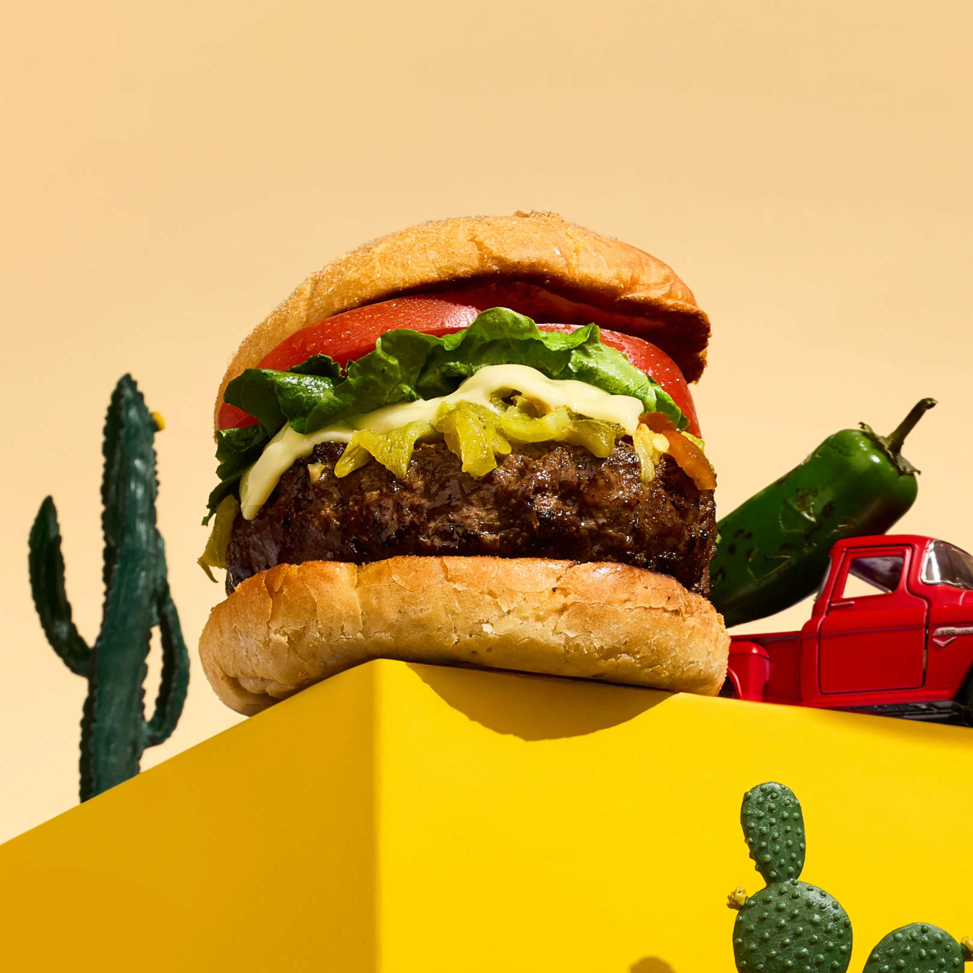 Famous Green Chile Cheeseburger Kit by Santa Fe Bite