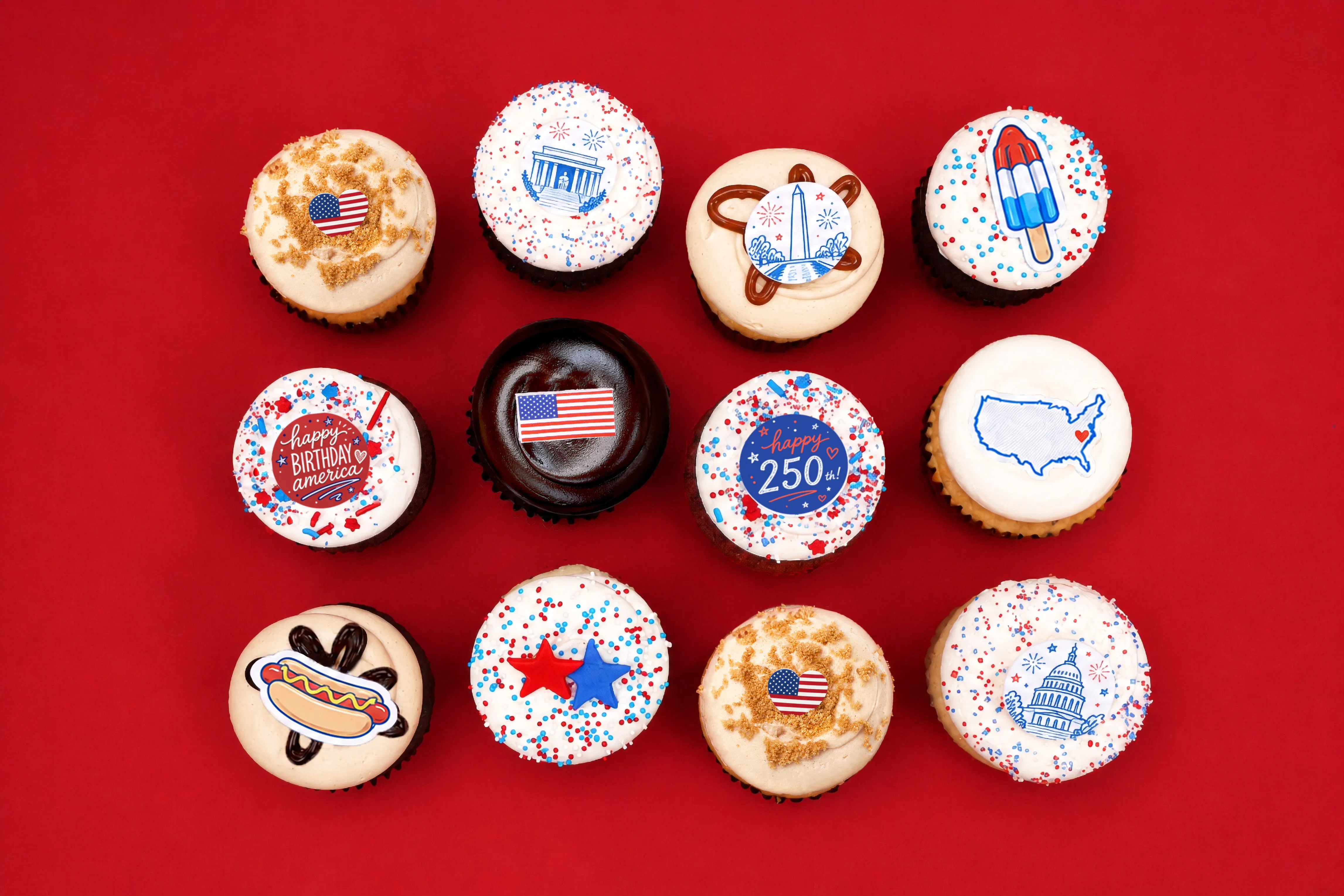 "America 250" Cupcake Dozen by Georgetown Cupcake