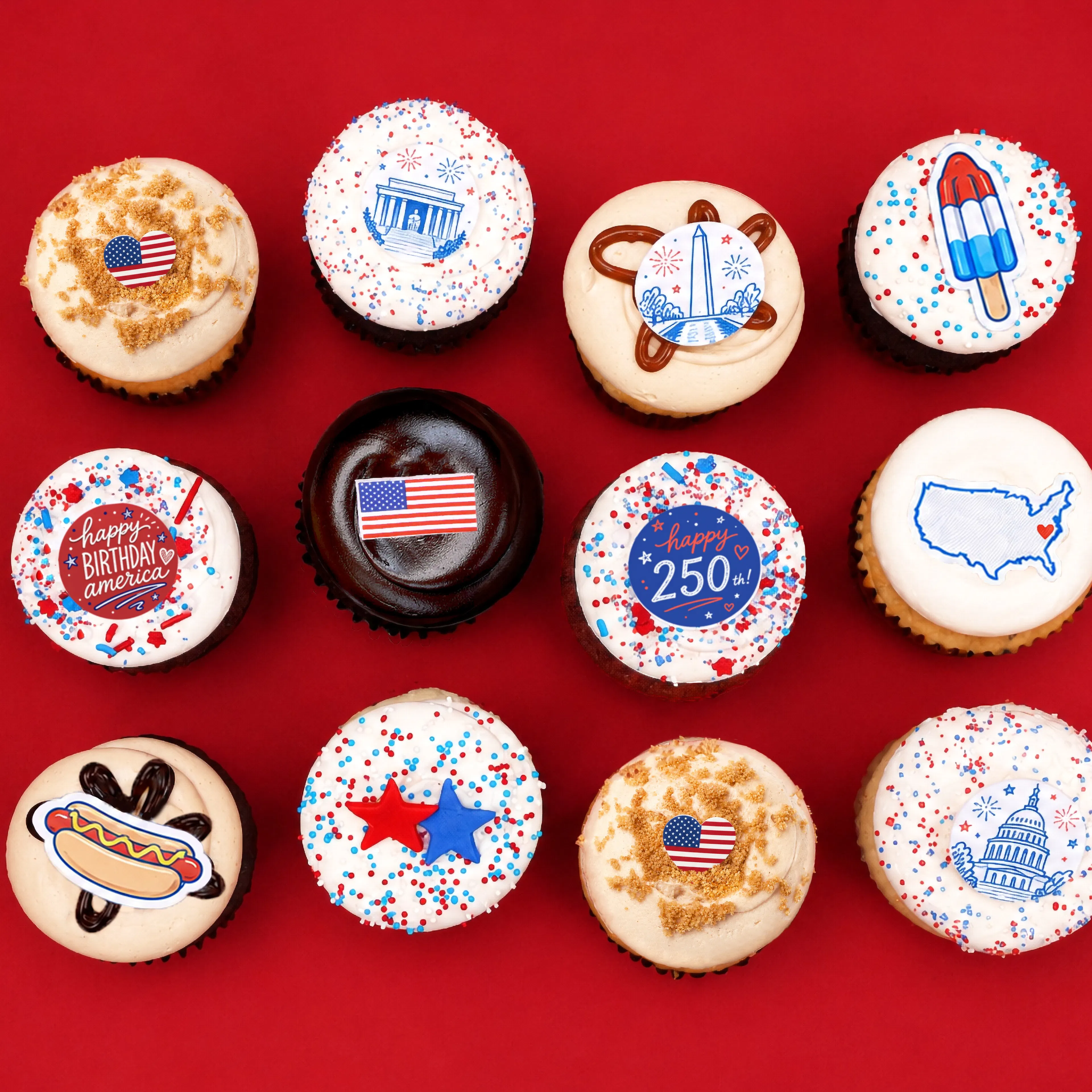 "America 250" Cupcake Dozen by Georgetown Cupcake