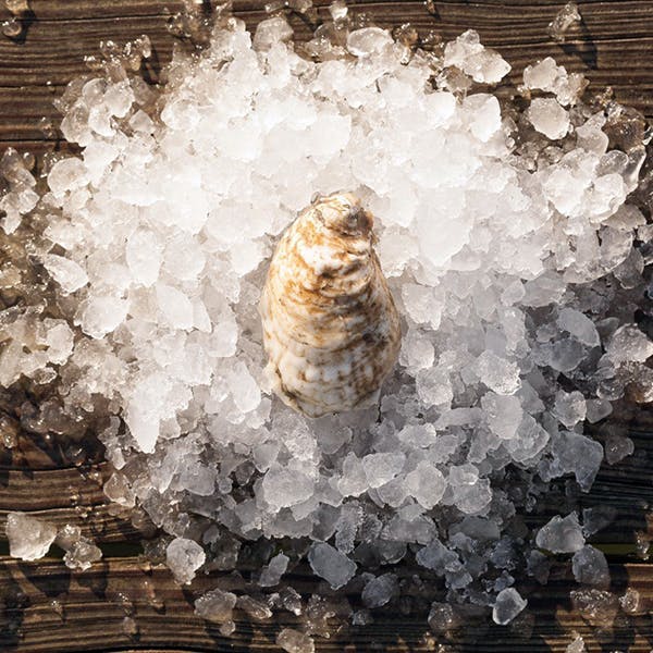 Rappahannock River Oysters - 100 count by Rappahannock River Oysters