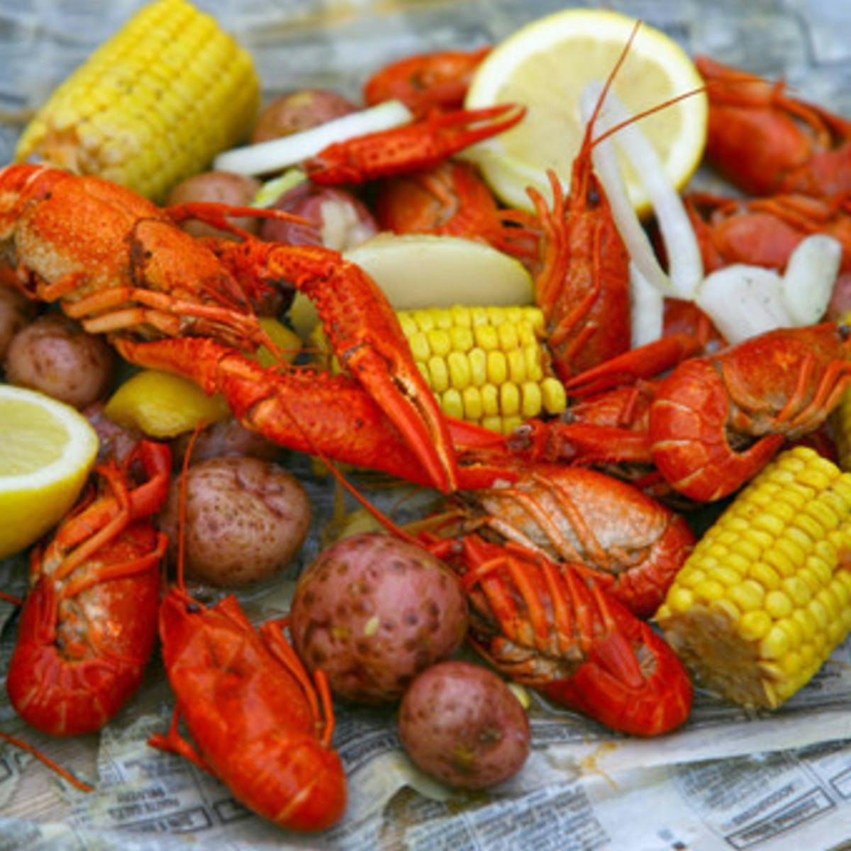 48 Pack Lets Get Cray Seafood Boil Plates for Crawfish Boil Party